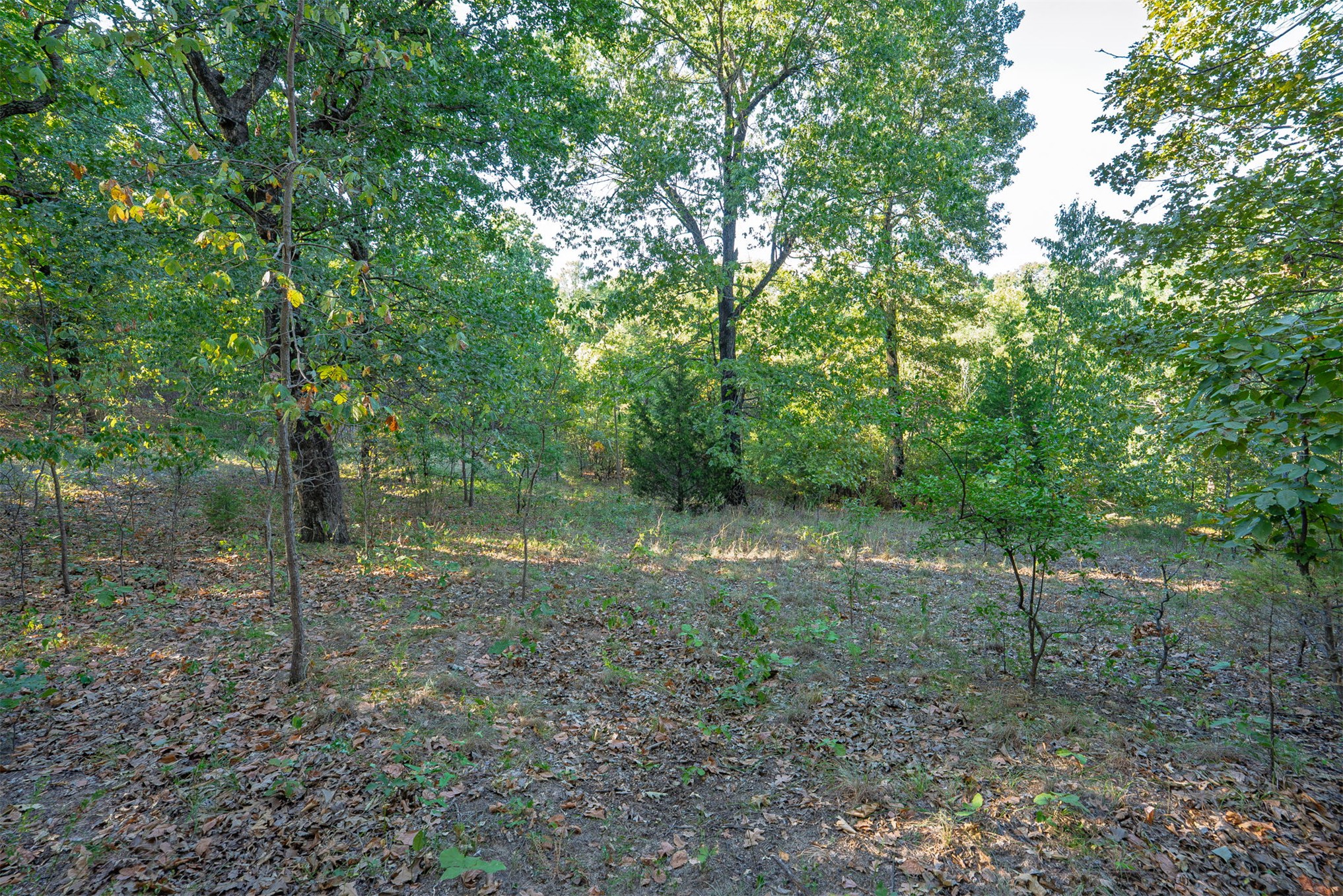 33 N 4256 Road Checotah OK 74426