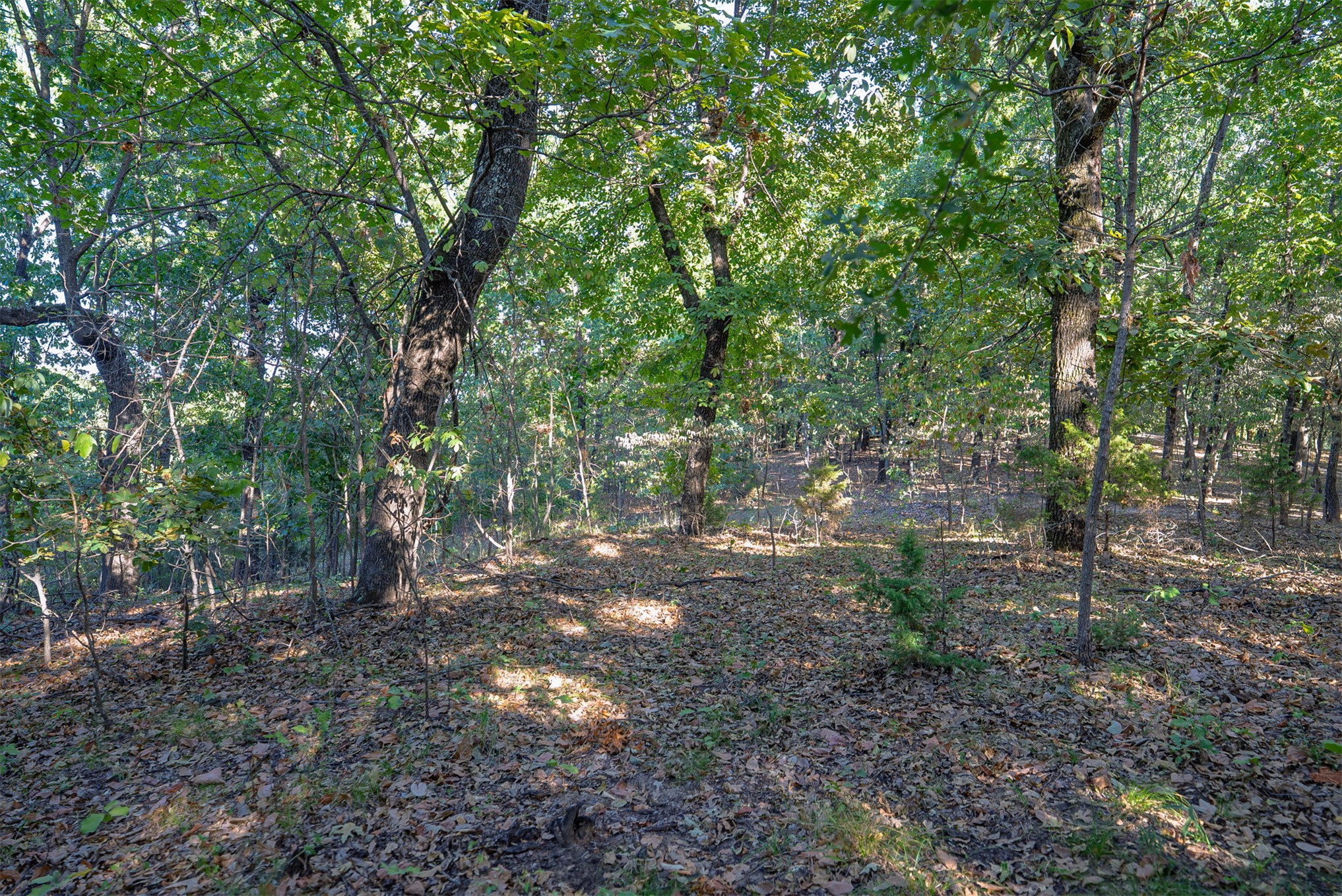 33 N 4256 Road Checotah OK 74426