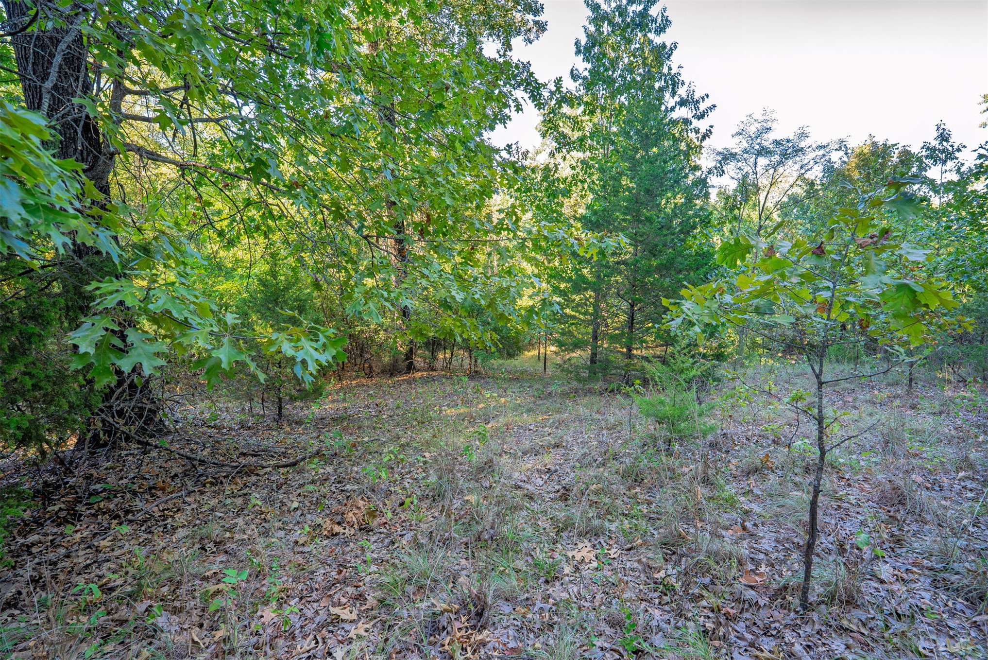 33 N 4256 Road Checotah OK 74426