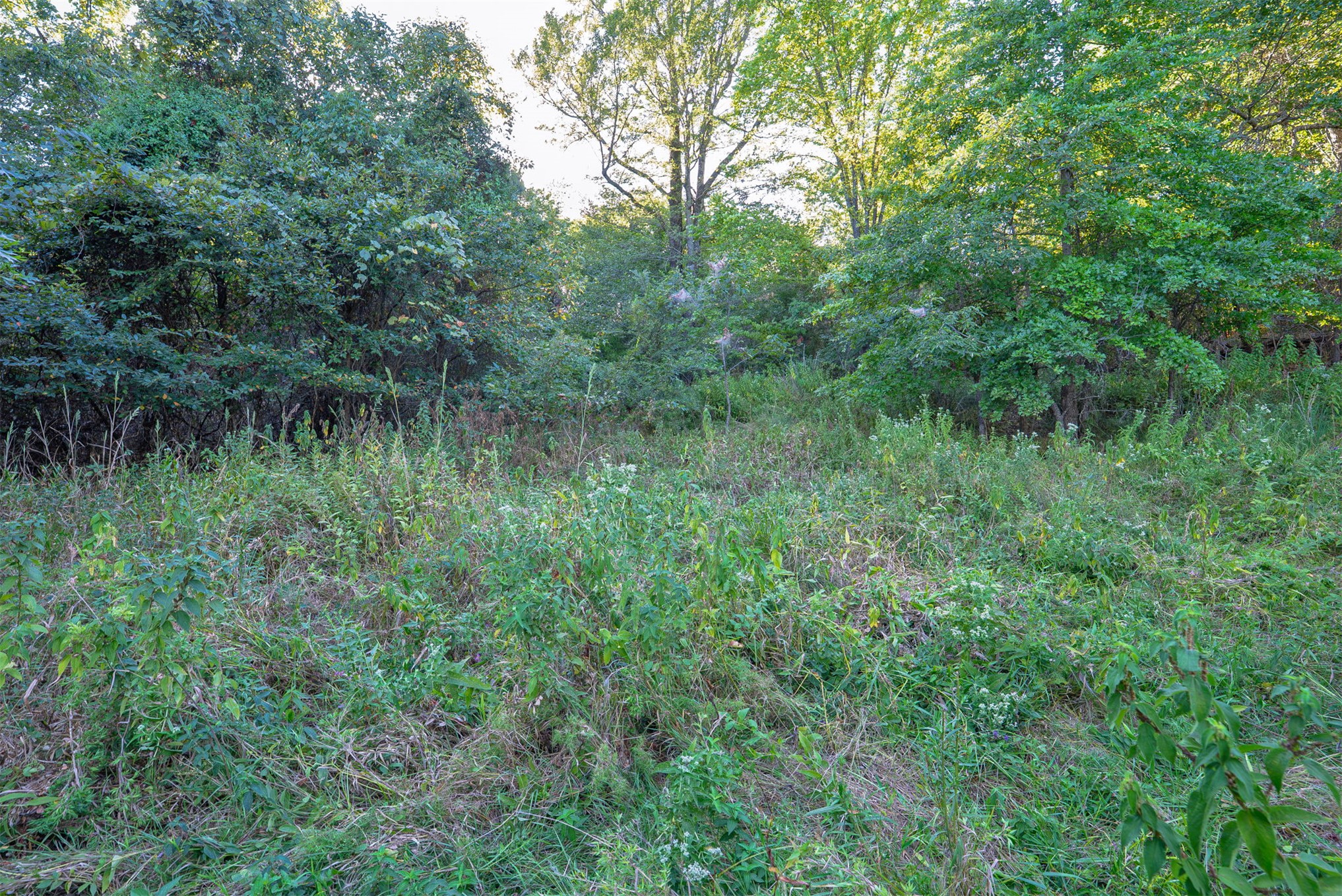 33 N 4256 Road Checotah OK 74426