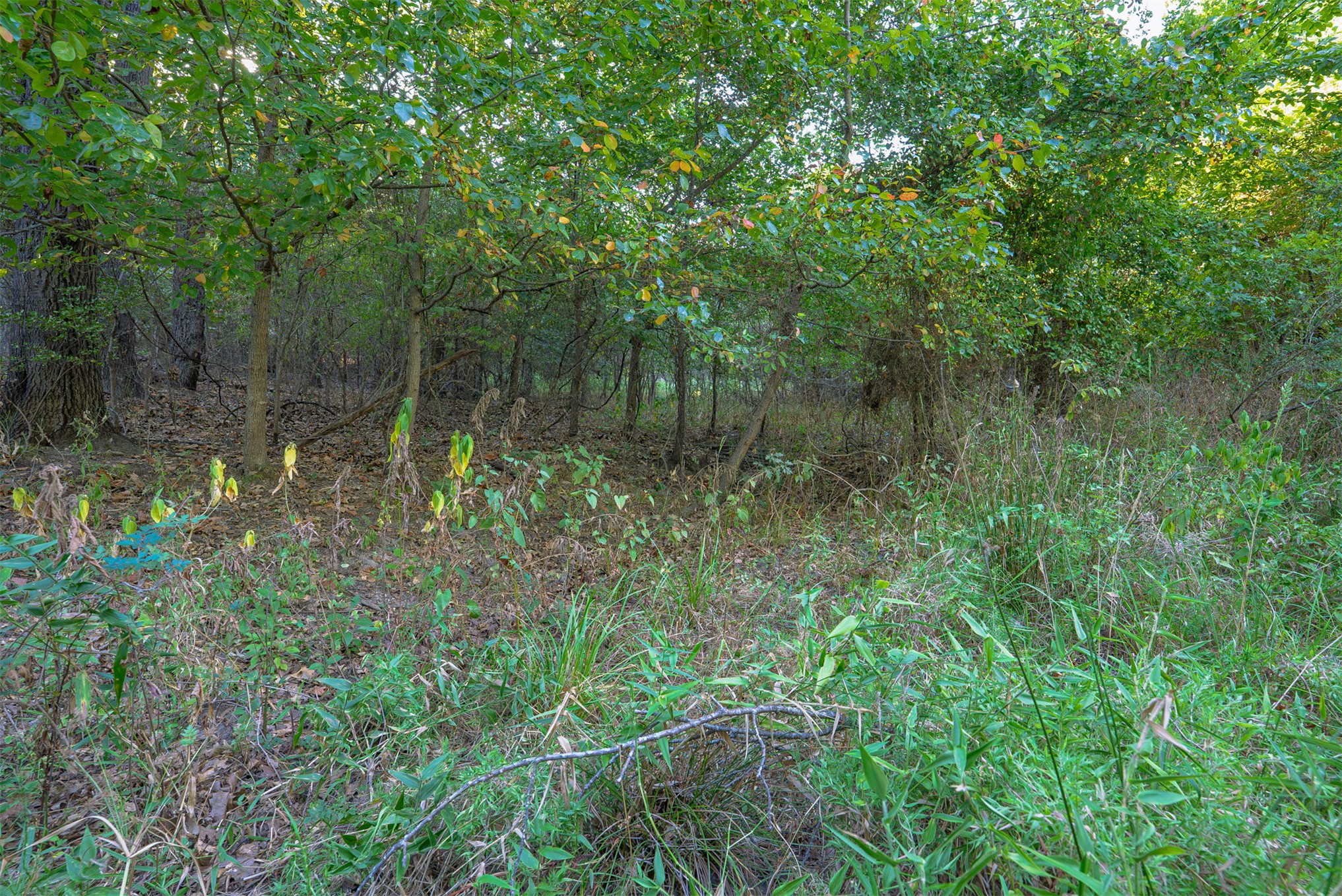 33 N 4256 Road Checotah OK 74426