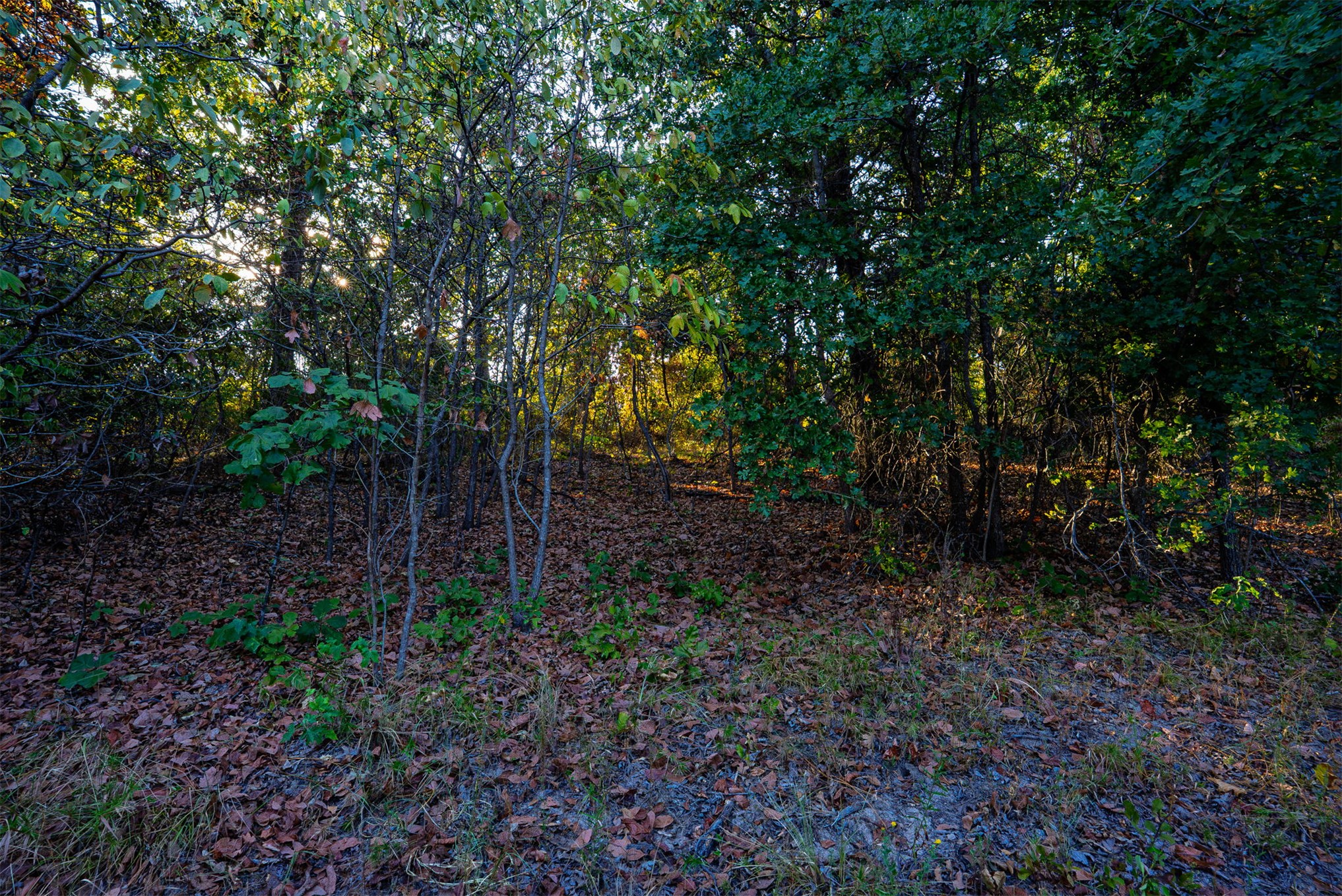 33 N 4256 Road Checotah OK 74426