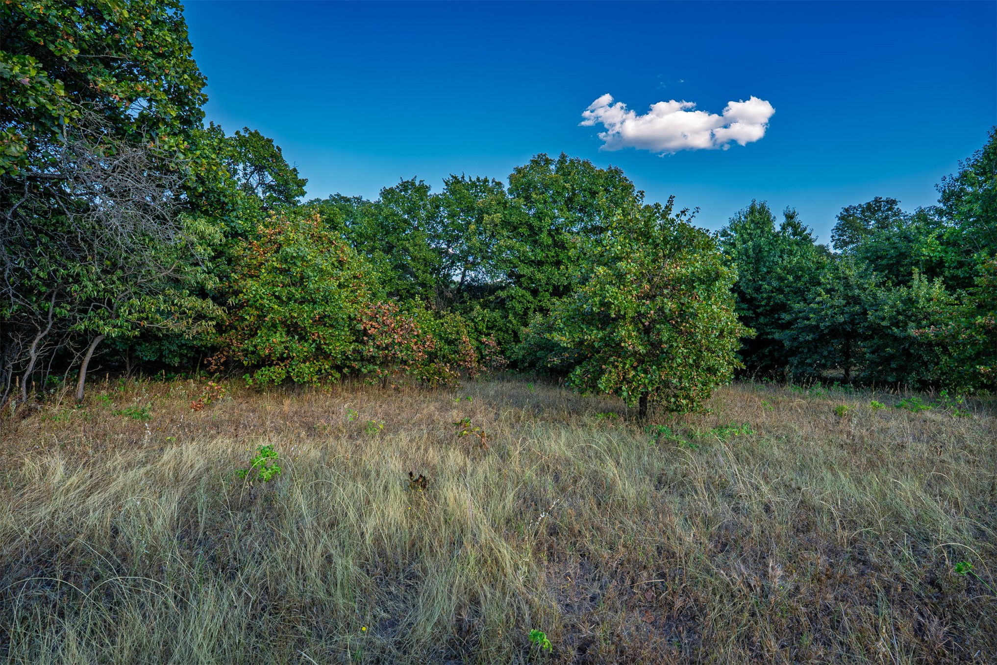 33 N 4256 Road Checotah OK 74426