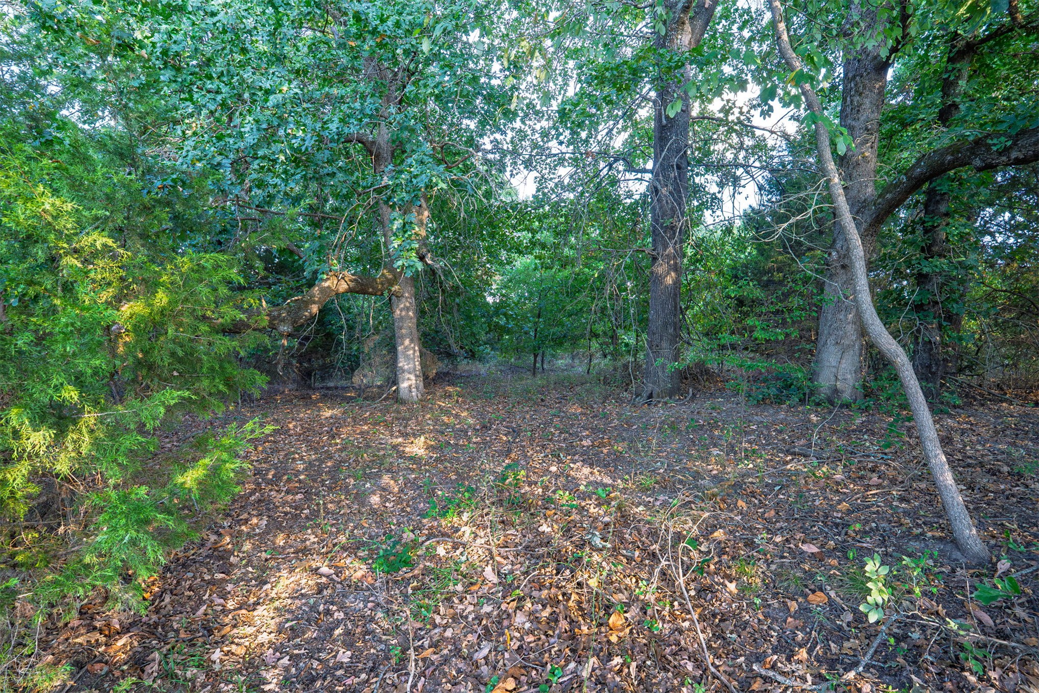 33 N 4256 Road Checotah OK 74426