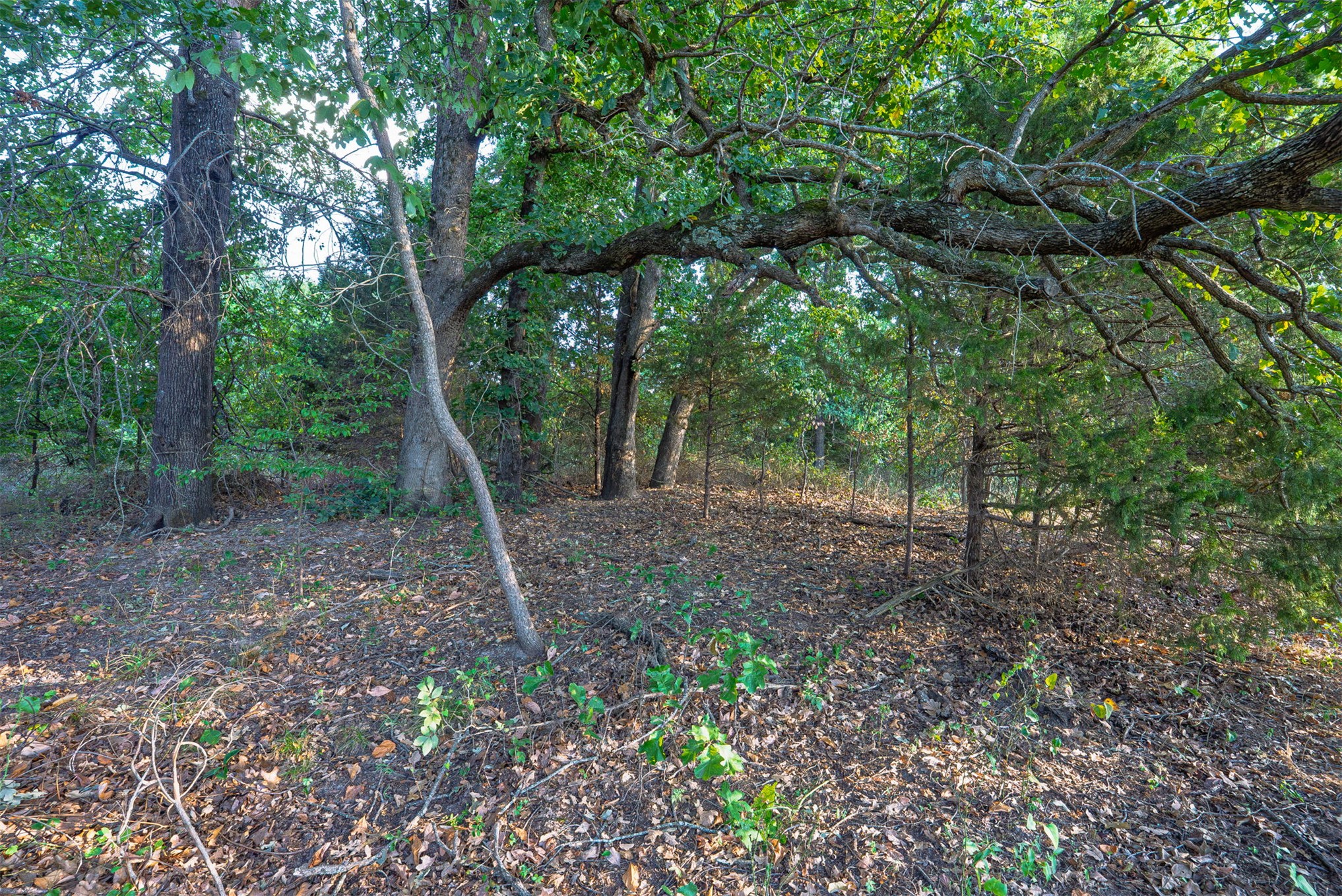33 N 4256 Road Checotah OK 74426