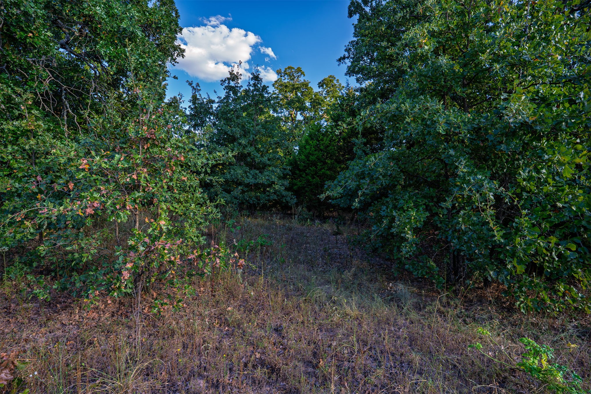 33 N 4256 Road Checotah OK 74426