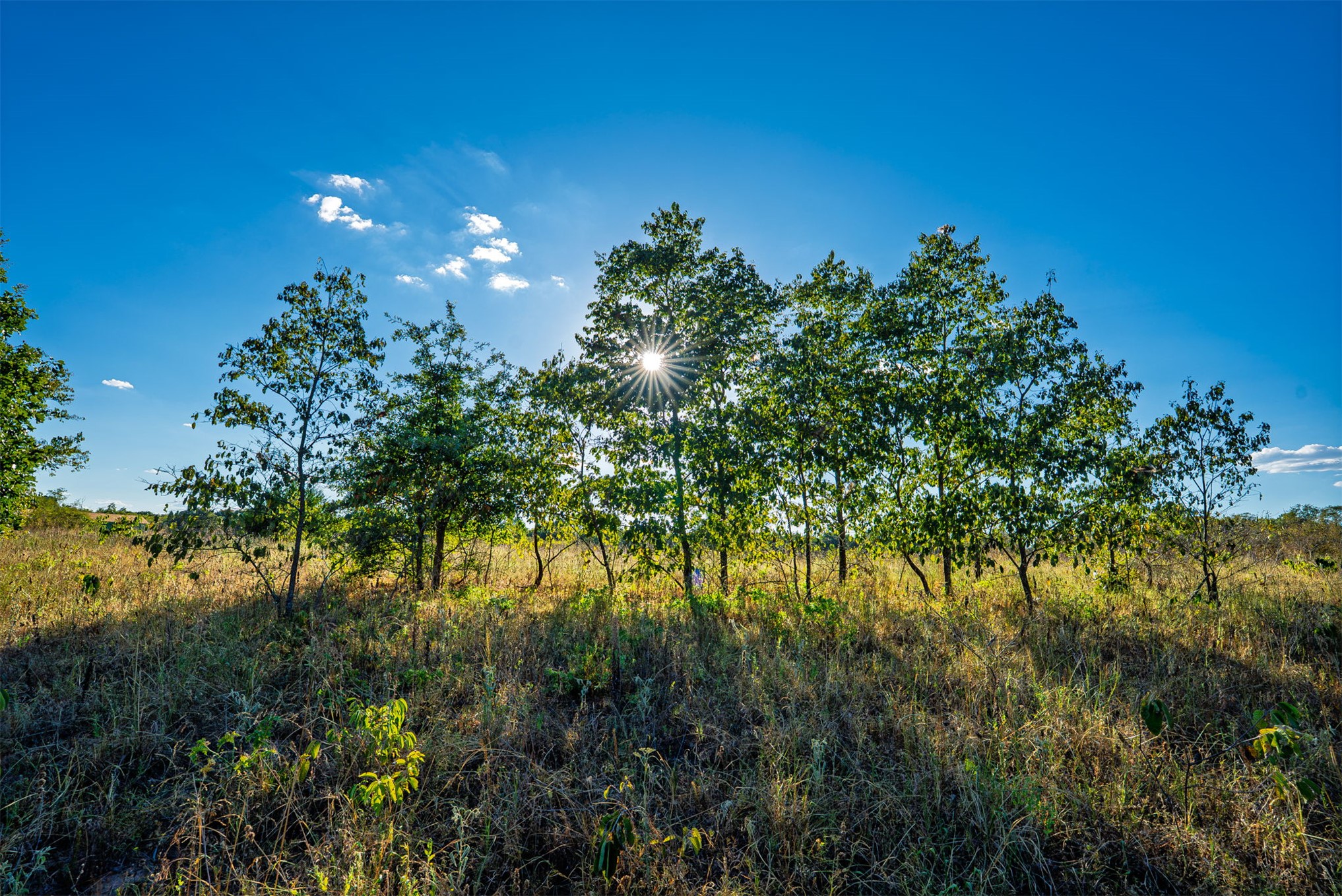 33 N 4256 Road Checotah OK 74426