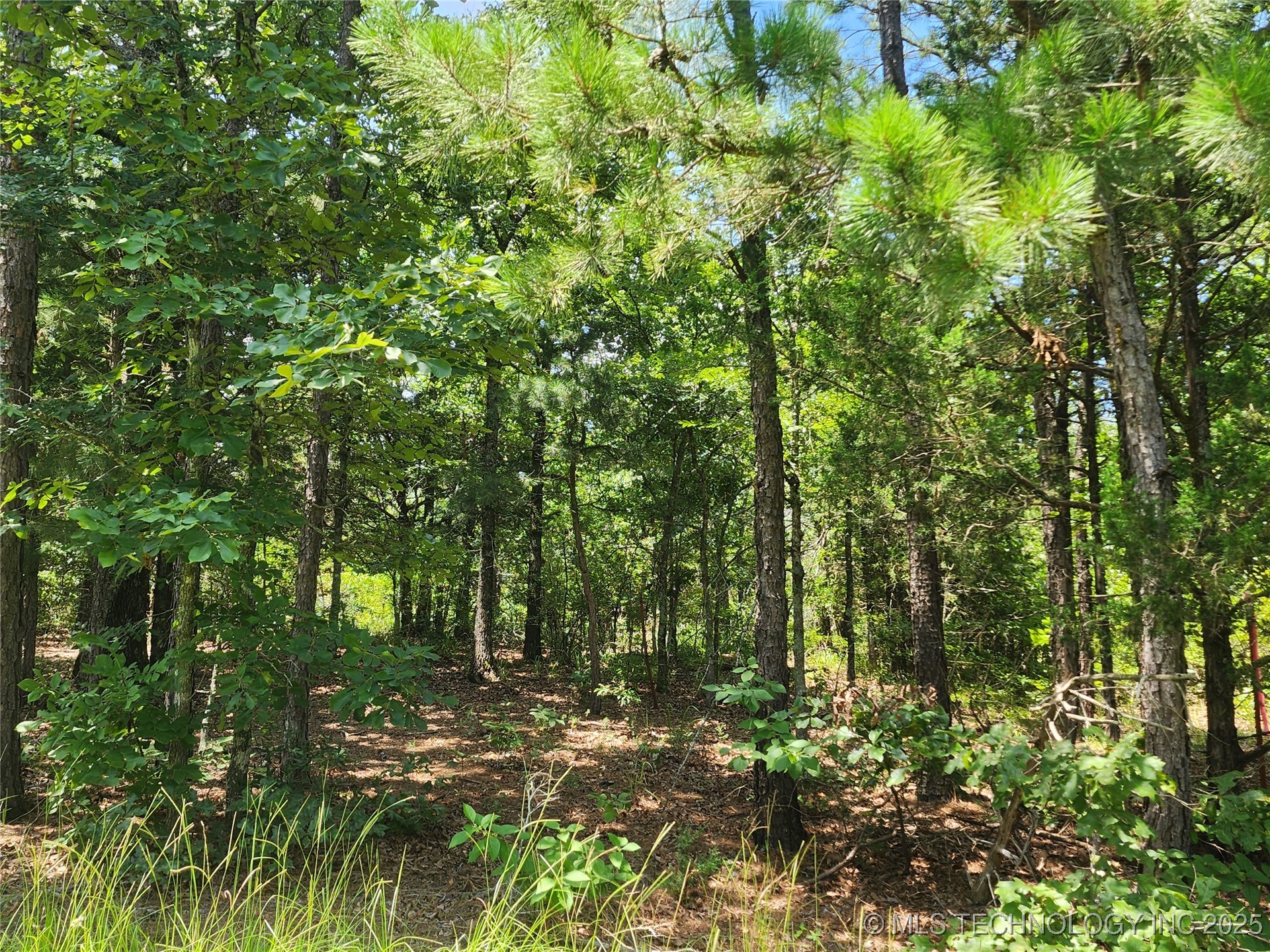 Ruby Lane Clayton OK 74536