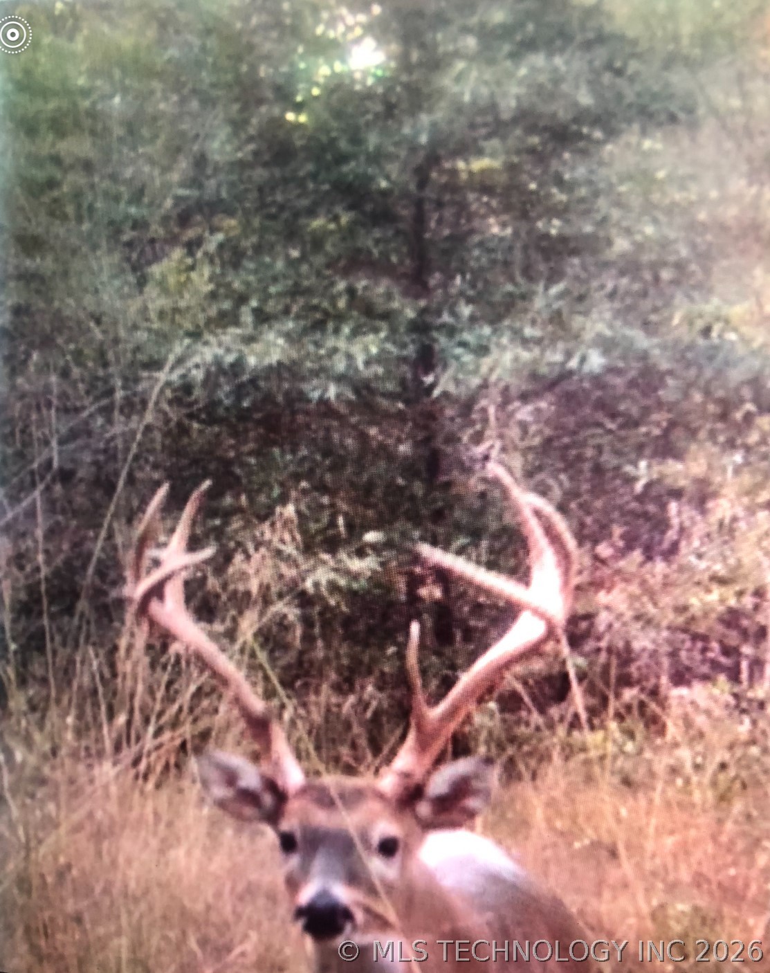 0000 E 1931 Road Antlers OK 74523