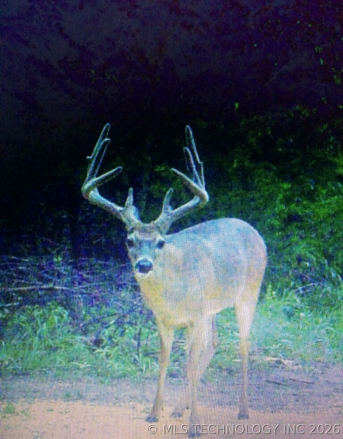 0000 E 1931 Road Antlers OK 74523