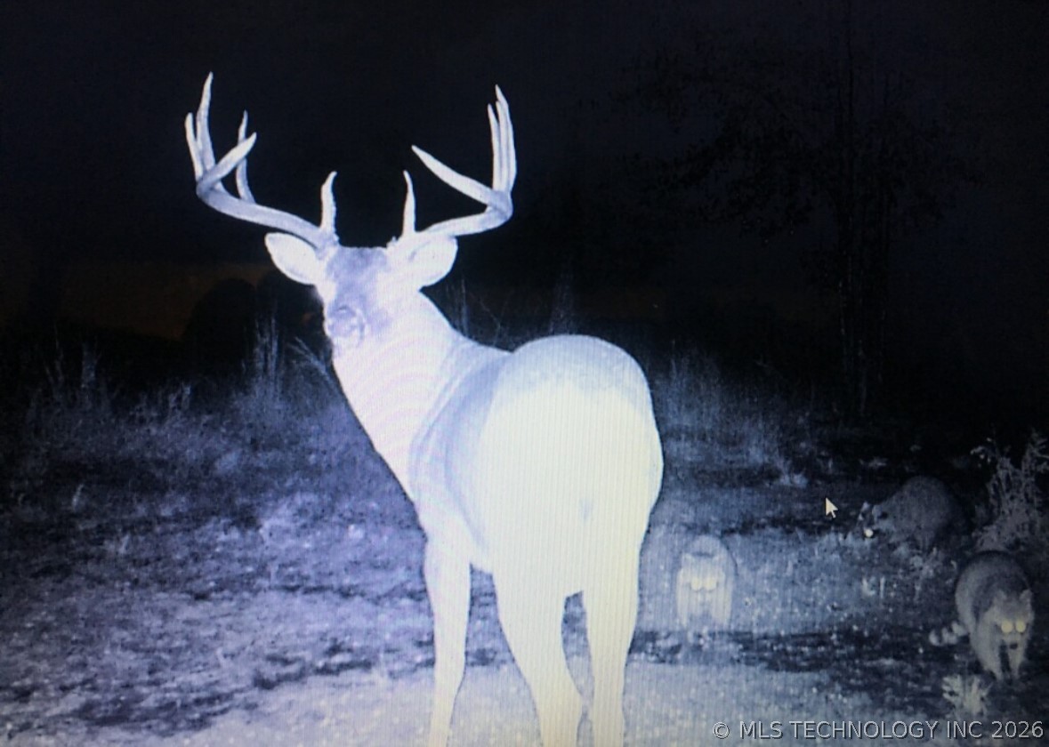 0000 E 1931 Road Antlers OK 74523