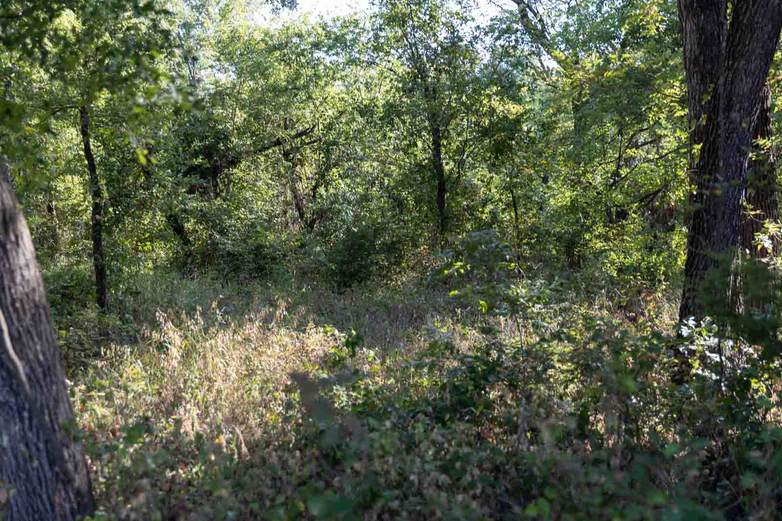 23 S Westminster Boulevard Guthrie OK 73044