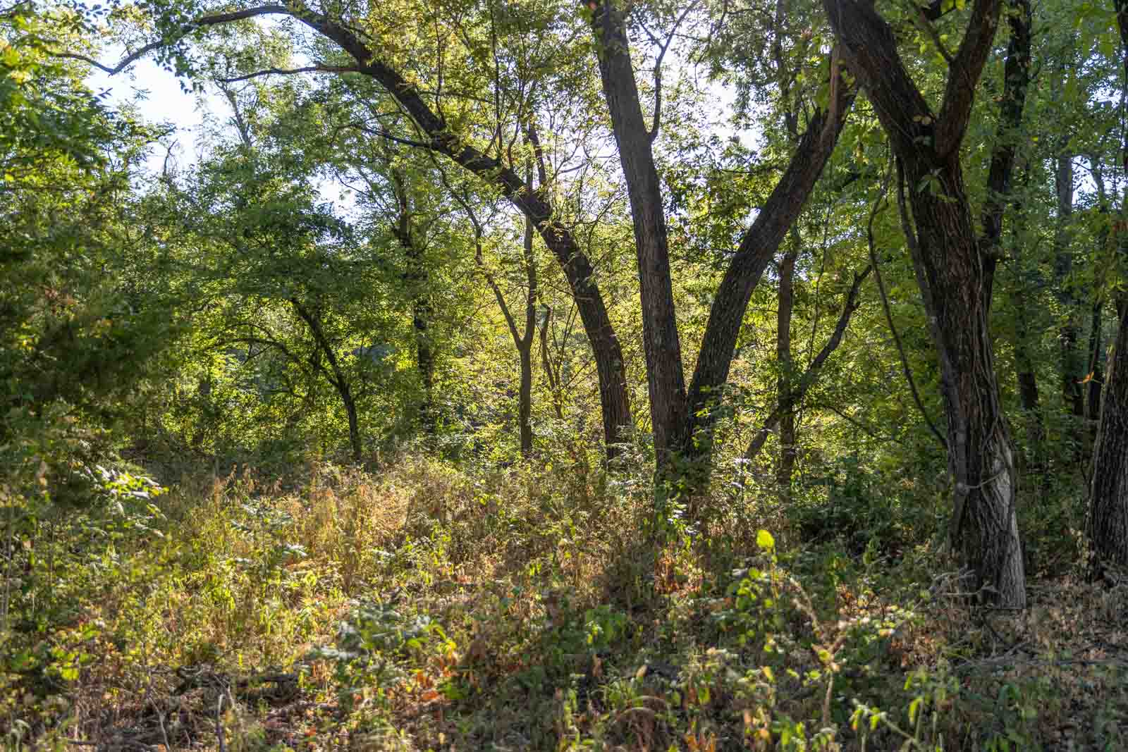 23 S Westminster Boulevard Guthrie OK 73044