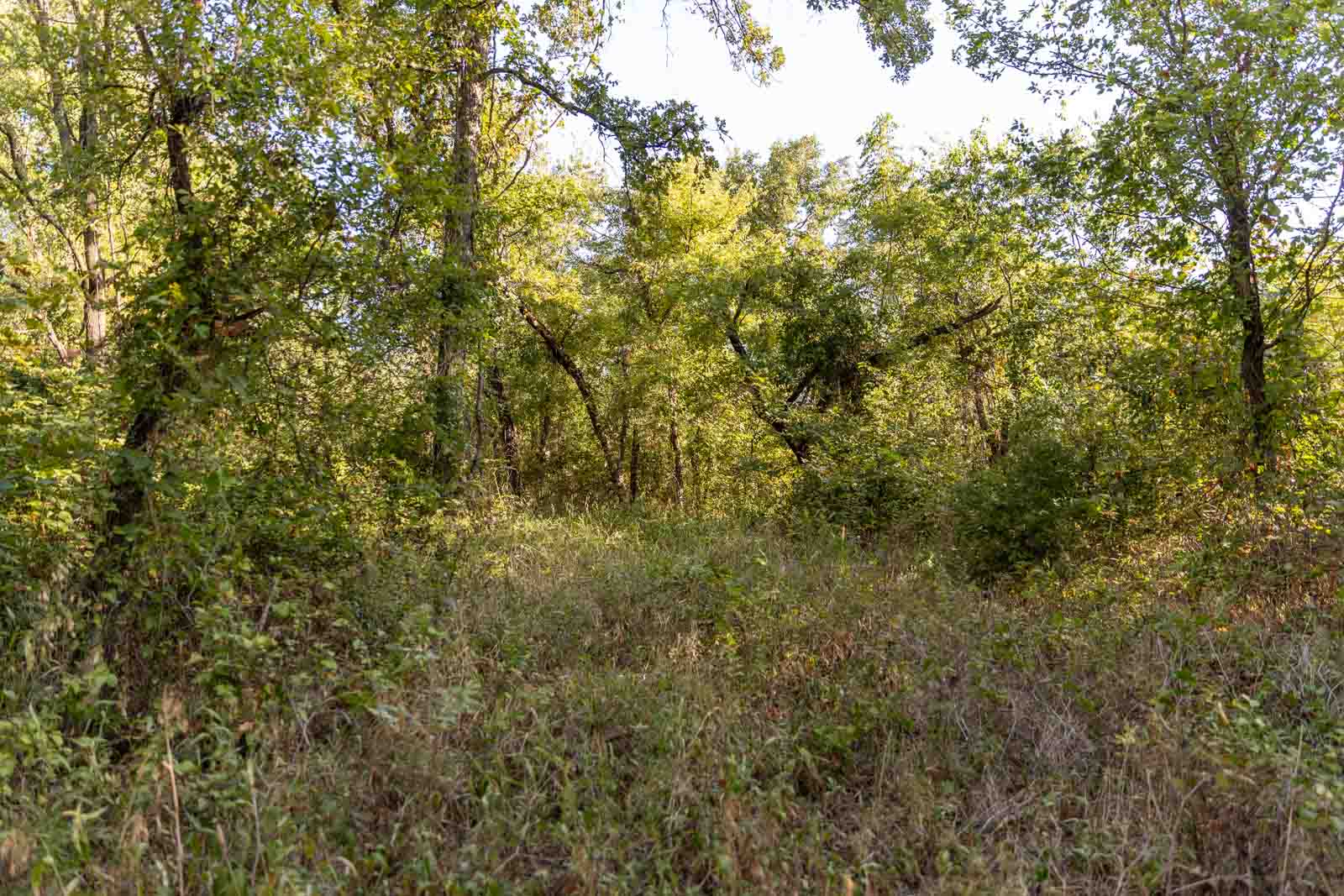 23 S Westminster Boulevard Guthrie OK 73044