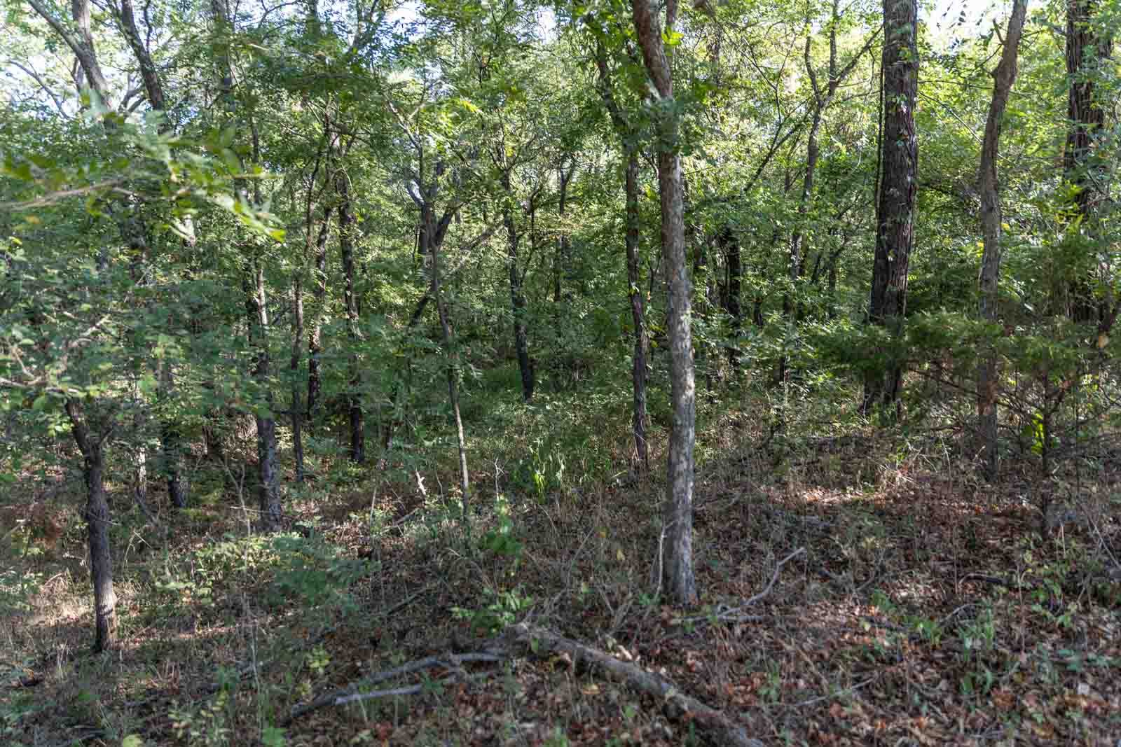23 S Westminster Boulevard Guthrie OK 73044
