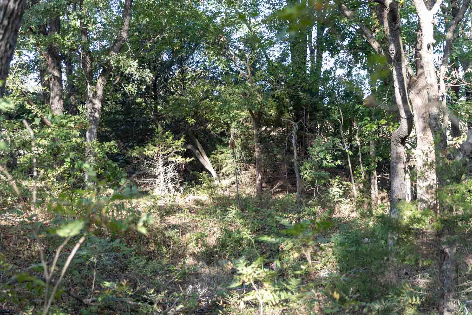 23 S Westminster Boulevard Guthrie OK 73044