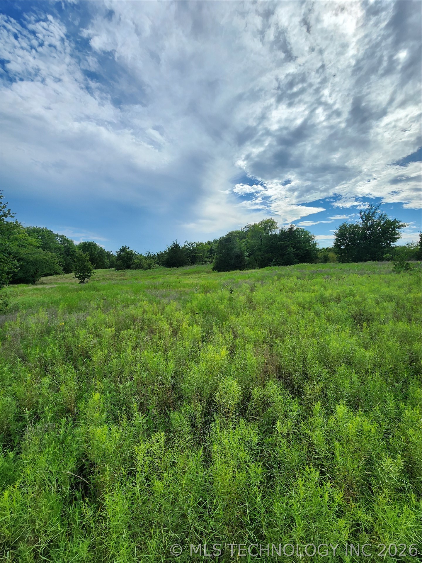 Knobb Road Kingston OK 73439