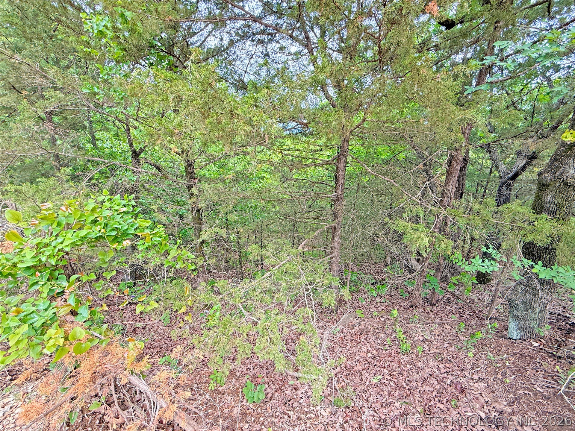 17 Holiday Lane Eufaula OK 74432