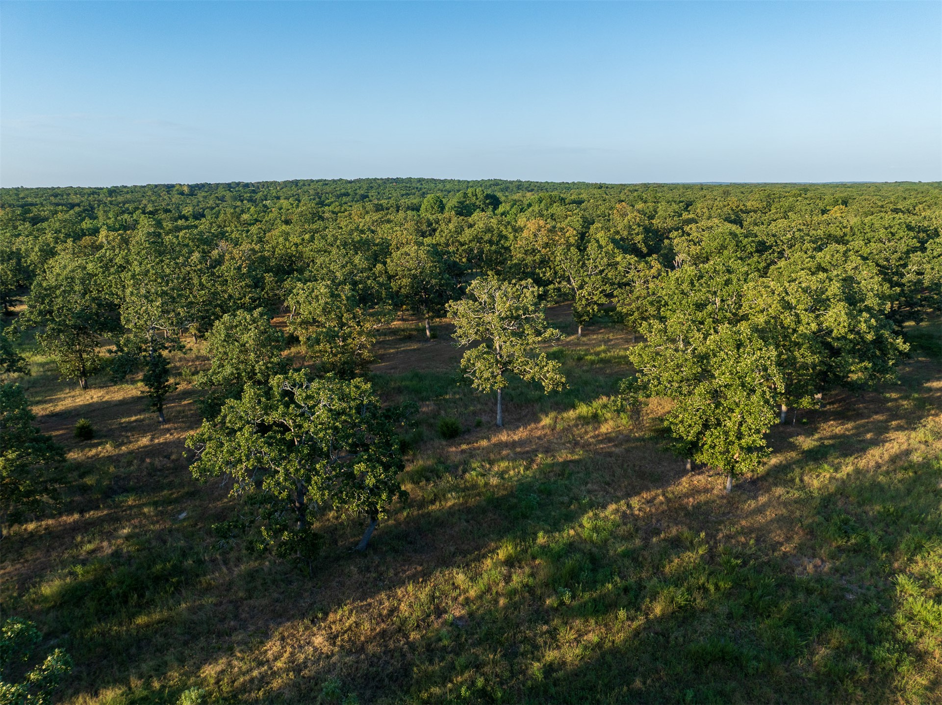 1 N 4450 Road Locust Grove OK 74352