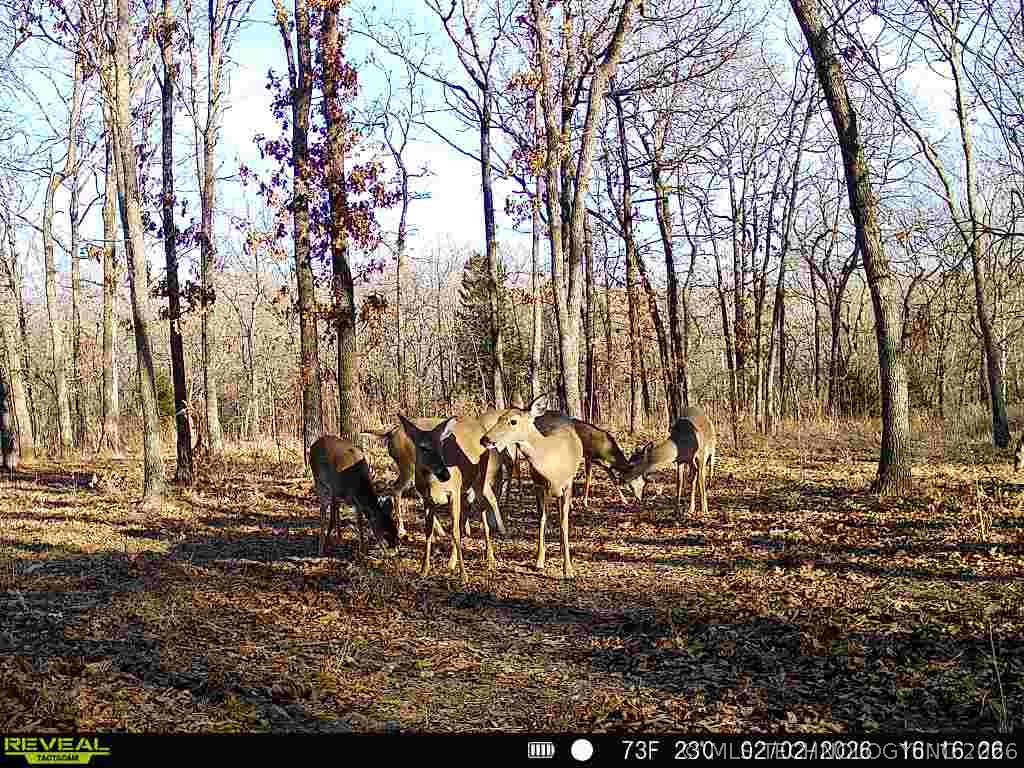 1 N 364 Road Wewoka OK 74884