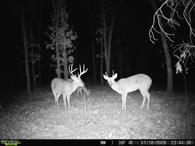 1 N 364 Road Wewoka OK 74884