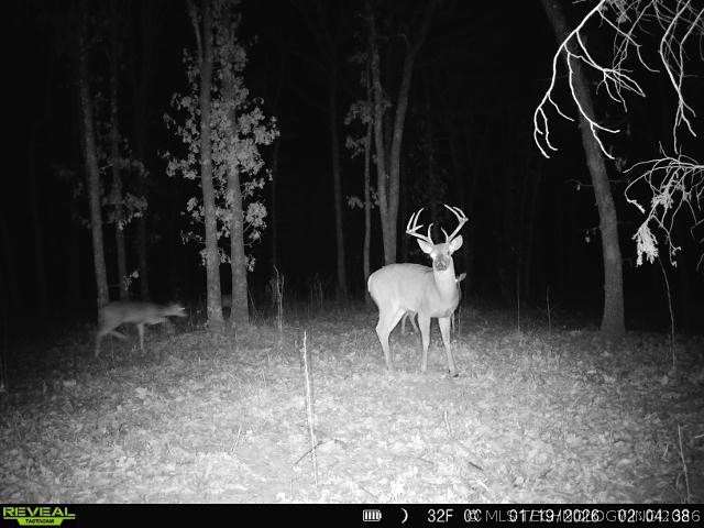 1 N 364 Road Wewoka OK 74884