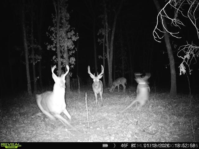 1 N 364 Road Wewoka OK 74884