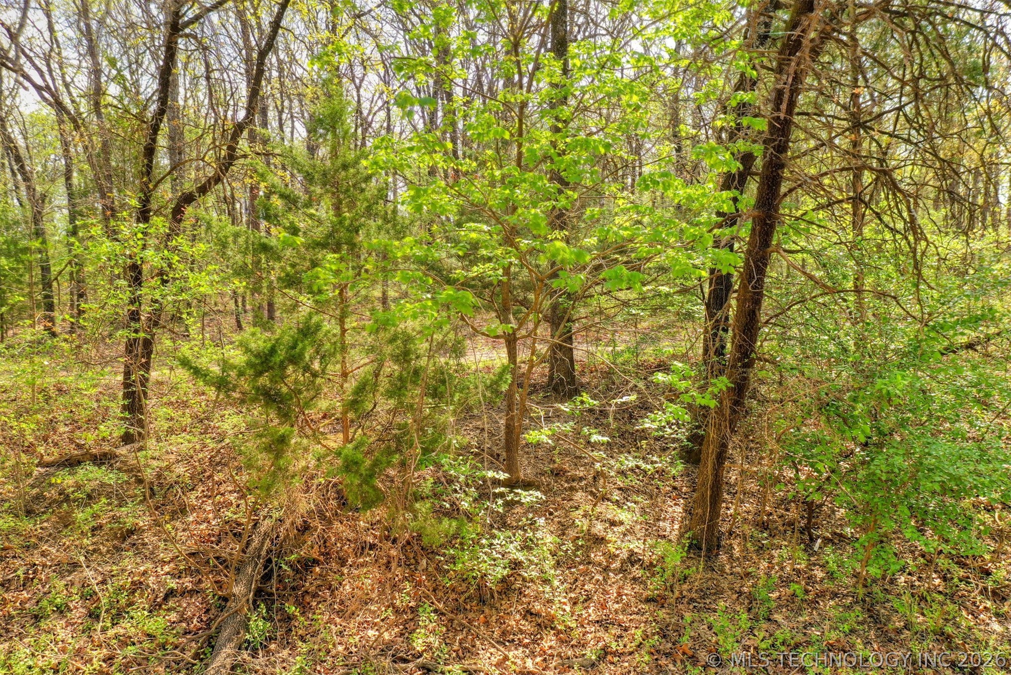 1 N 364 Road Wewoka OK 74884