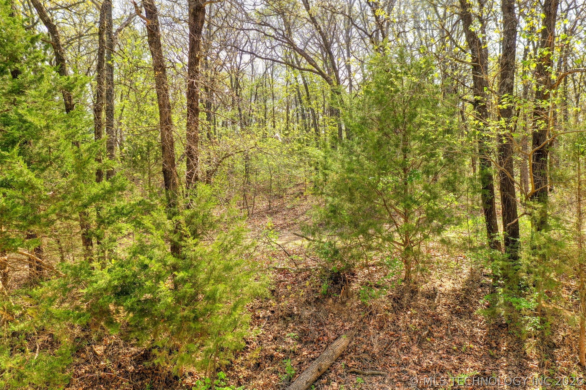 1 N 364 Road Wewoka OK 74884