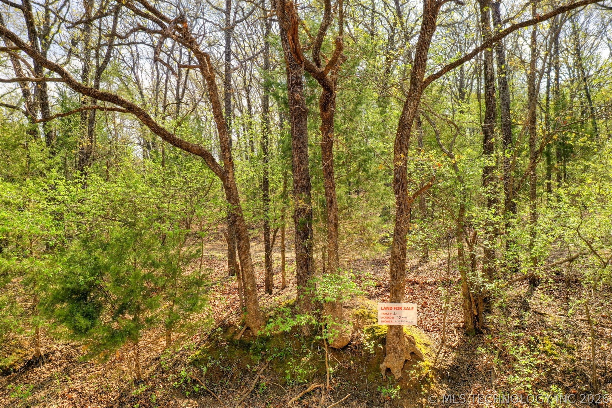 1 N 364 Road Wewoka OK 74884