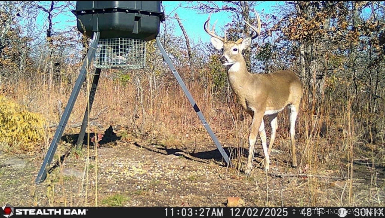 Henryetta OK 74437