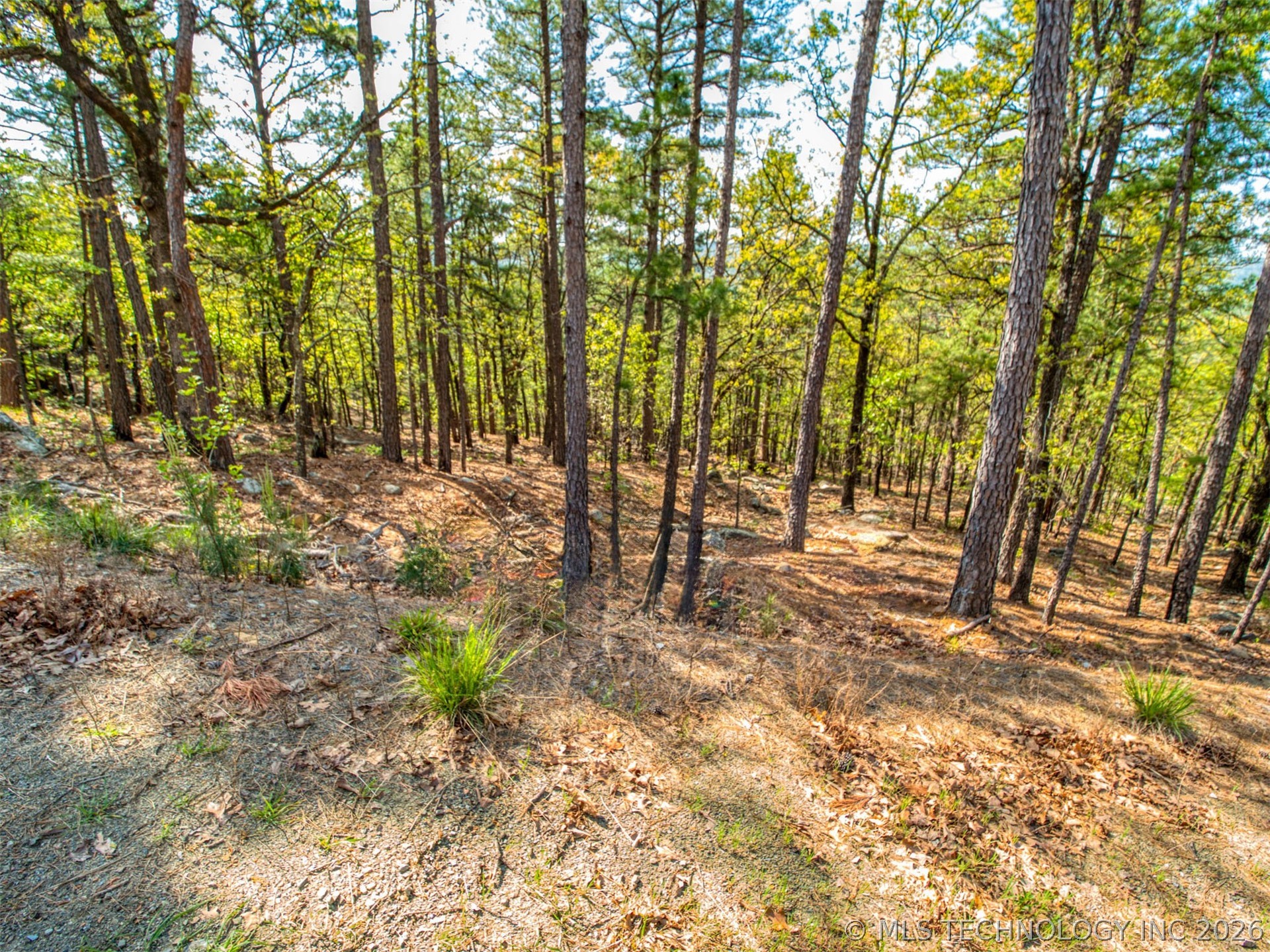 40 Savage Road Pittsburg OK 74560