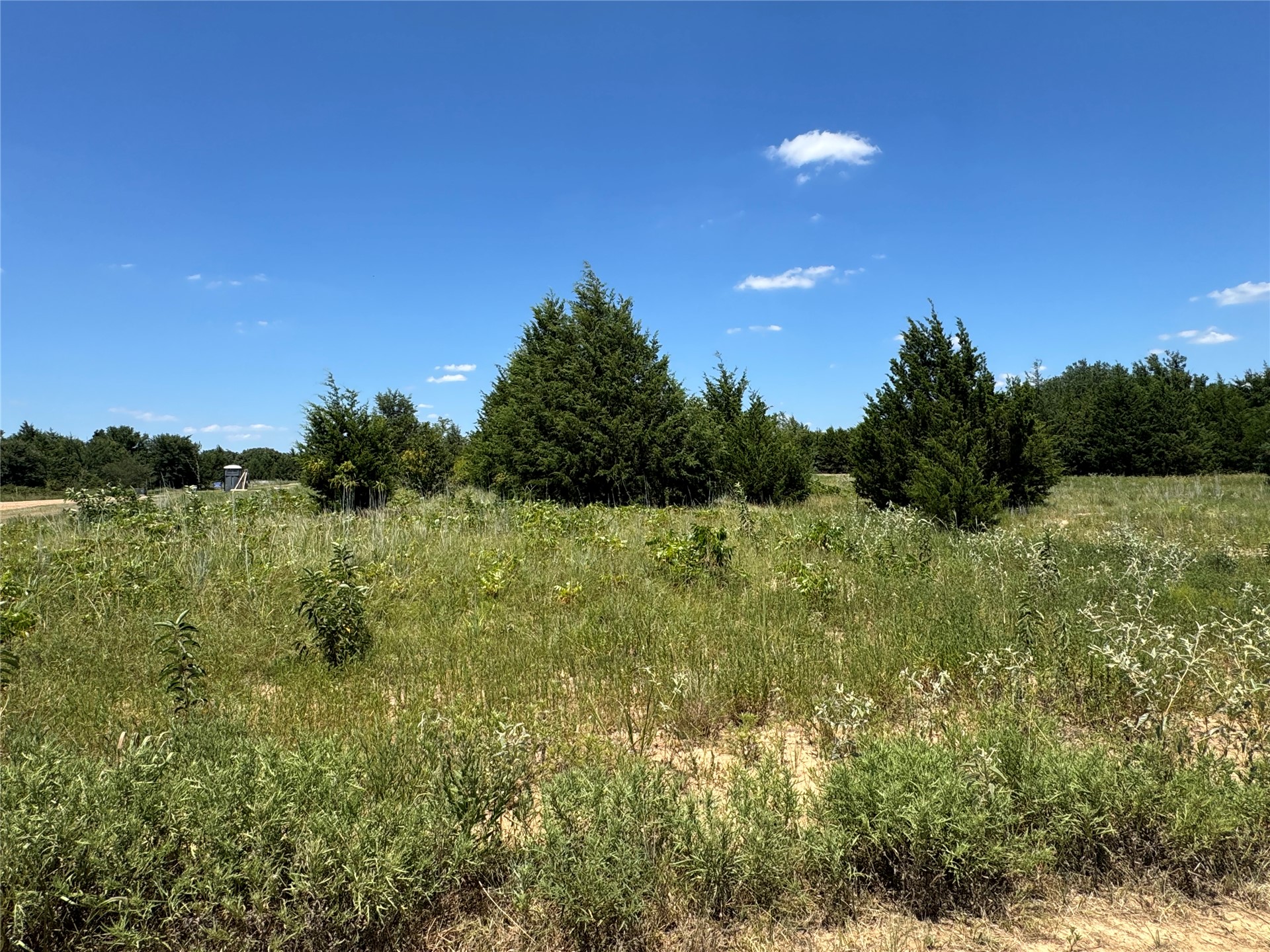 39 Sugar Cone Road Colbert OK 74733