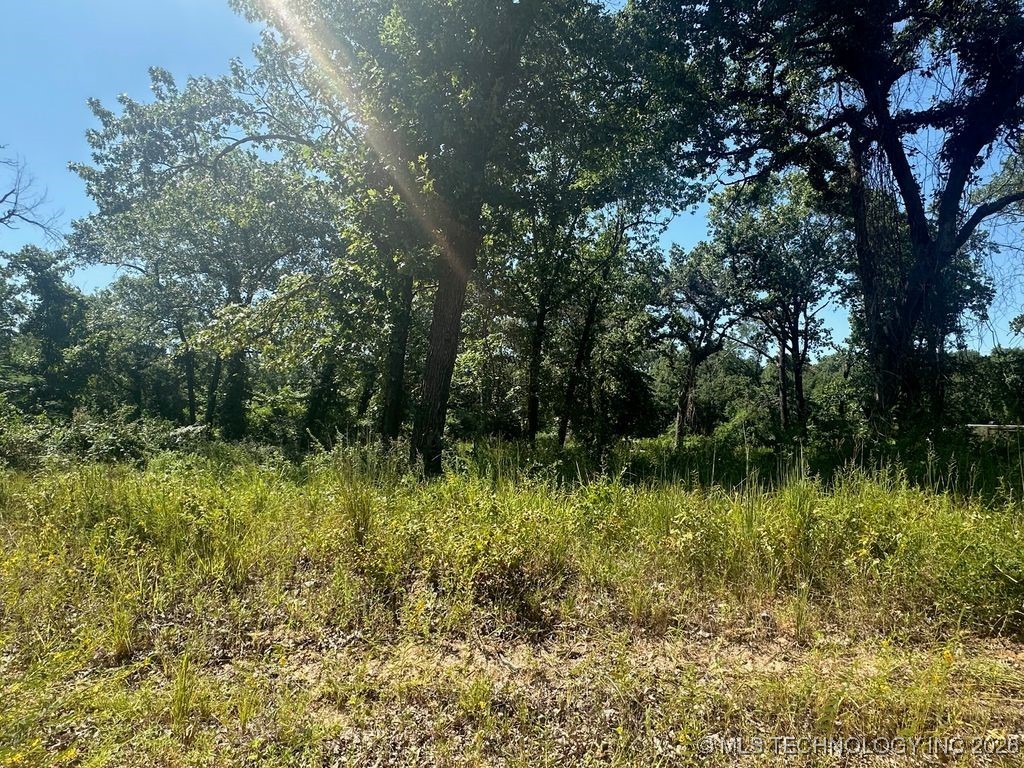 0 Driftwood Road Kingston OK 73439