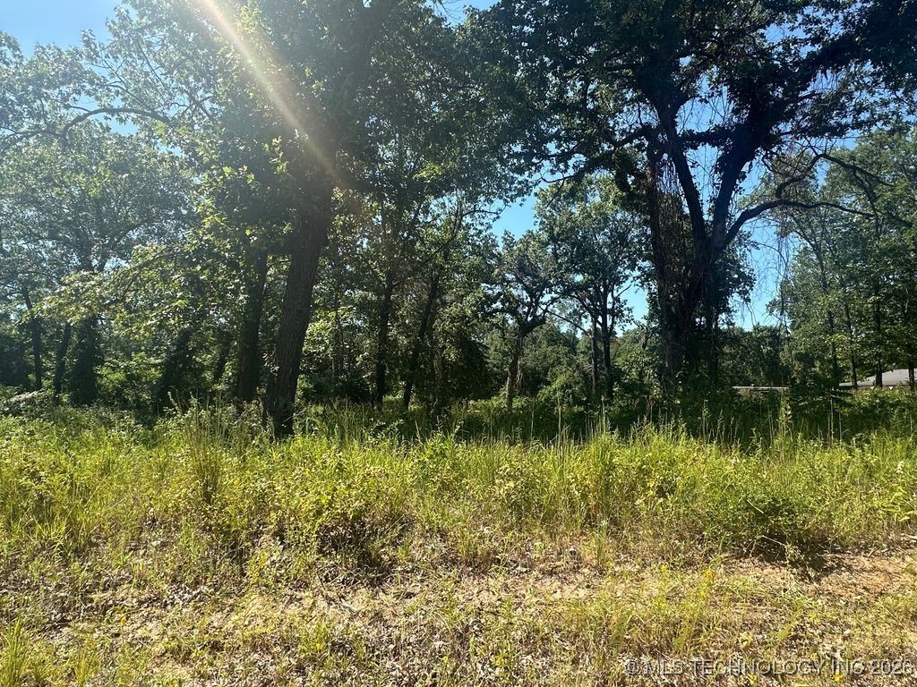 0 Driftwood Road Kingston OK 73439