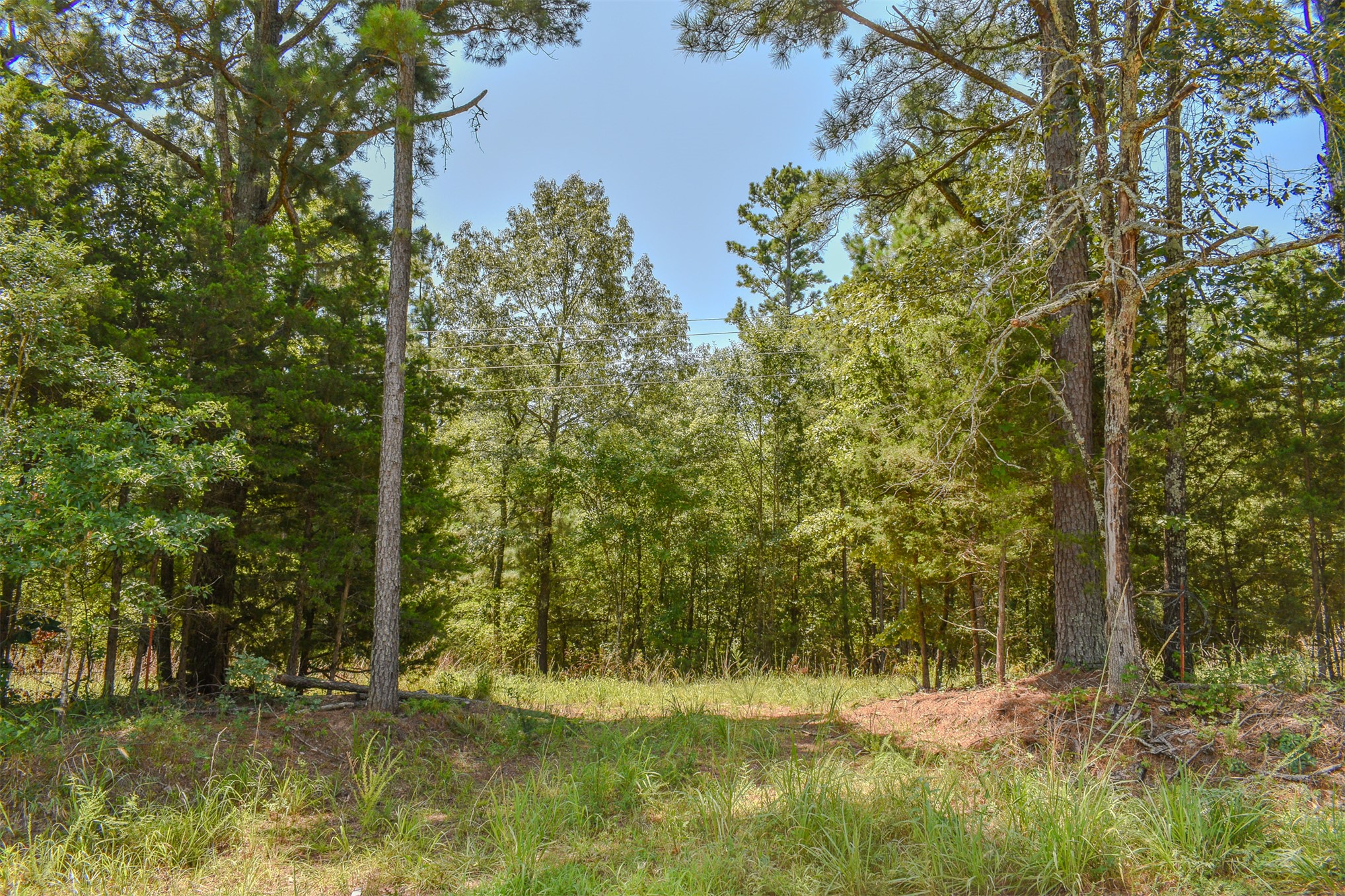 3 N Hall Road Antlers OK 74523