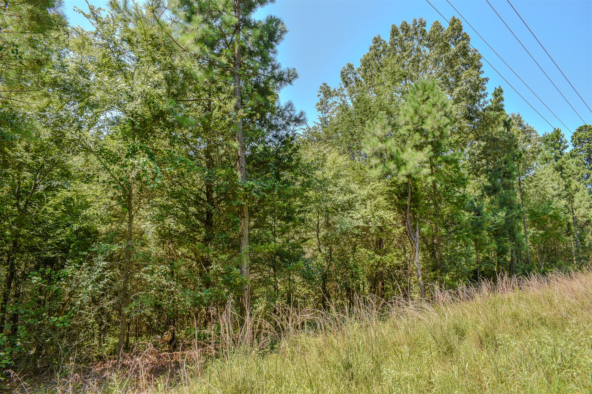 3 N Hall Road Antlers OK 74523