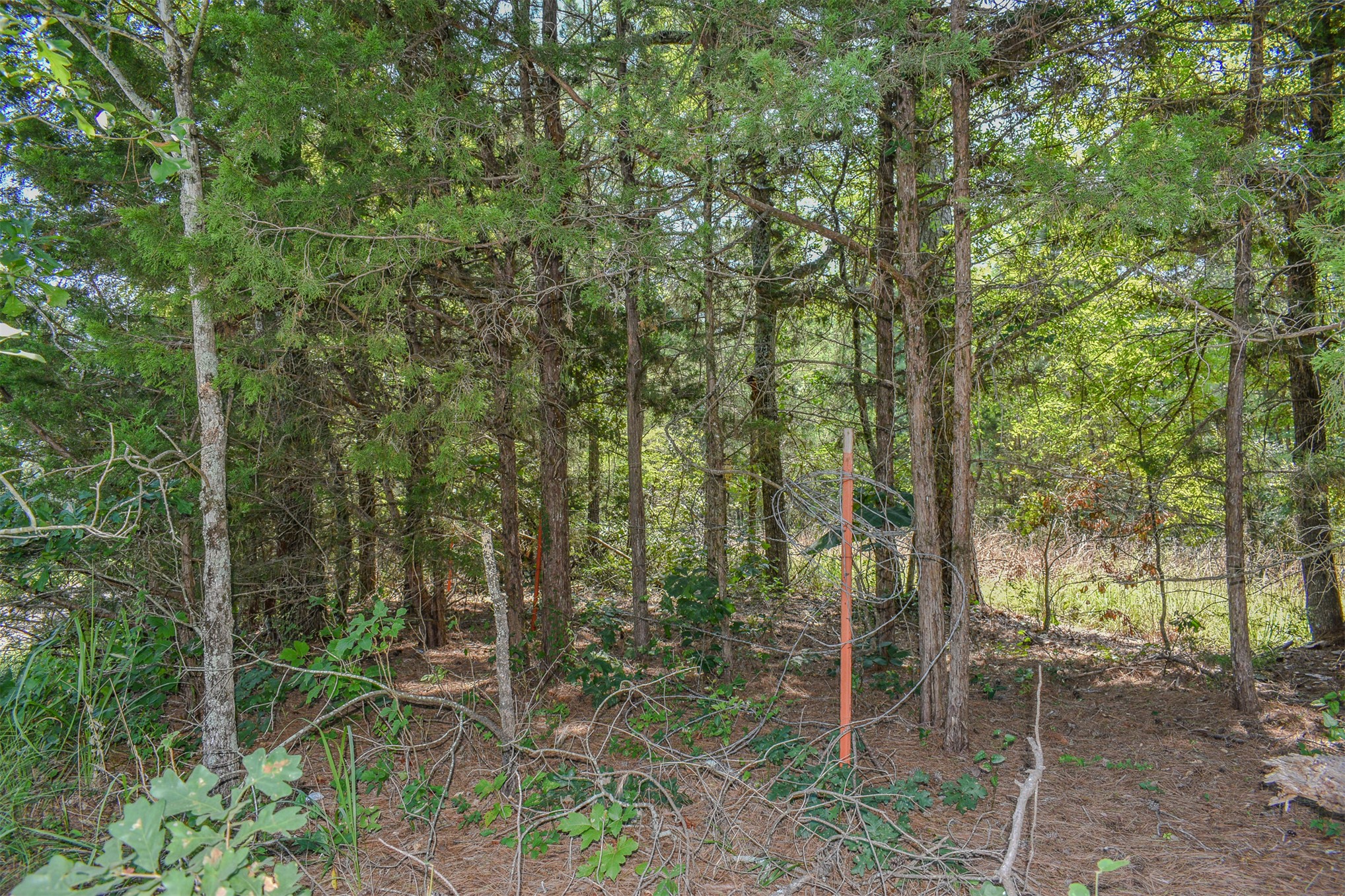 3 N Hall Road Antlers OK 74523
