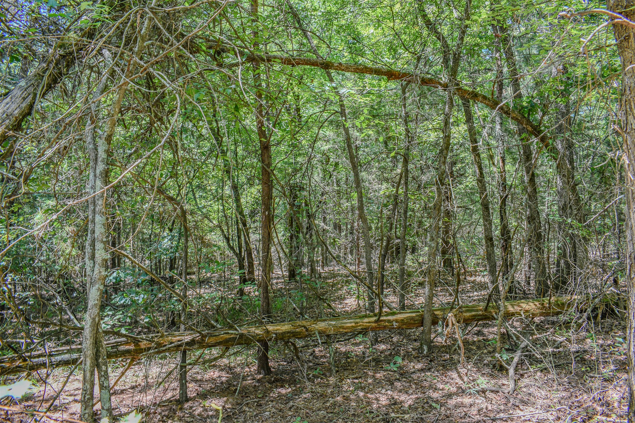 3 N Hall Road Antlers OK 74523
