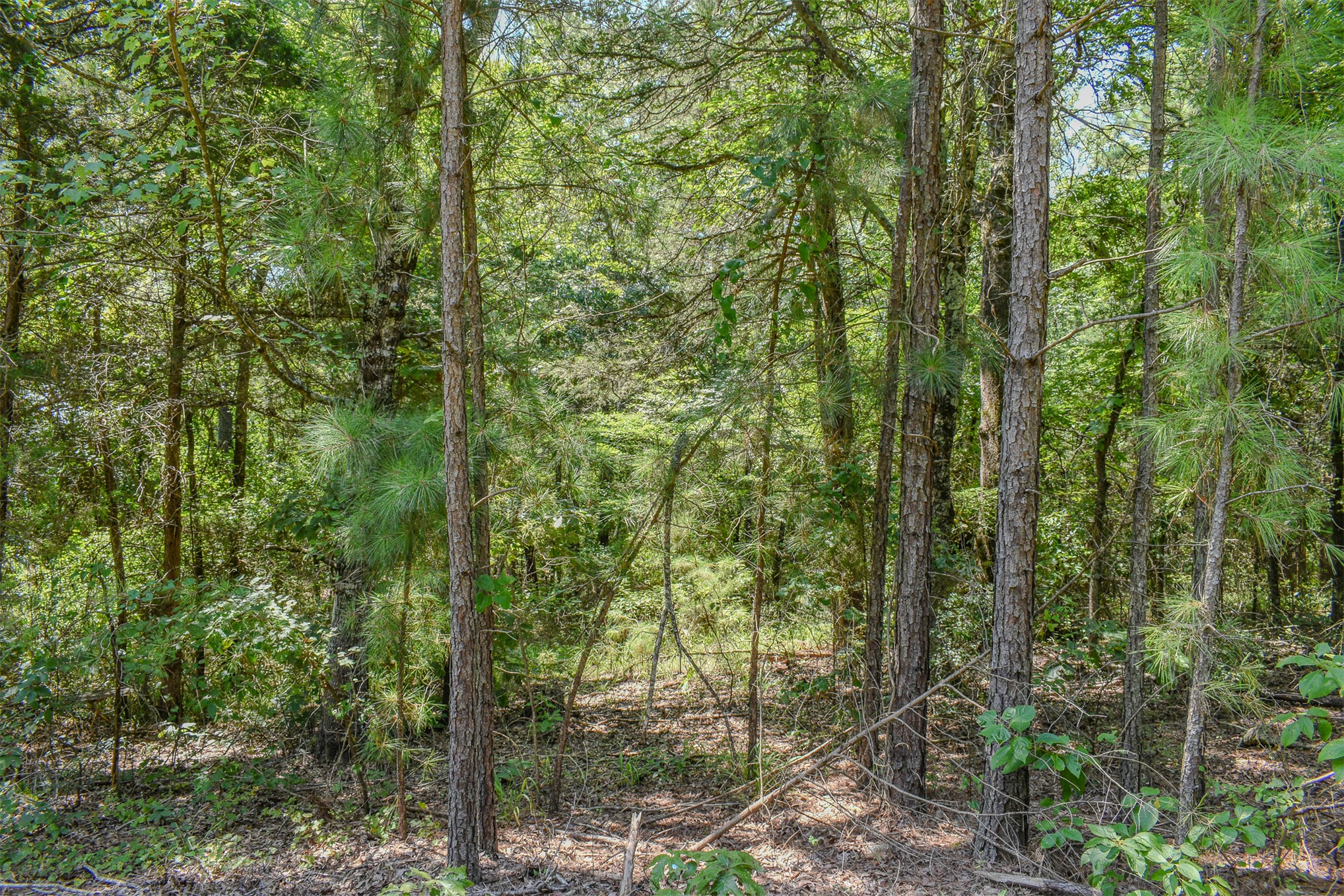 3 N Hall Road Antlers OK 74523