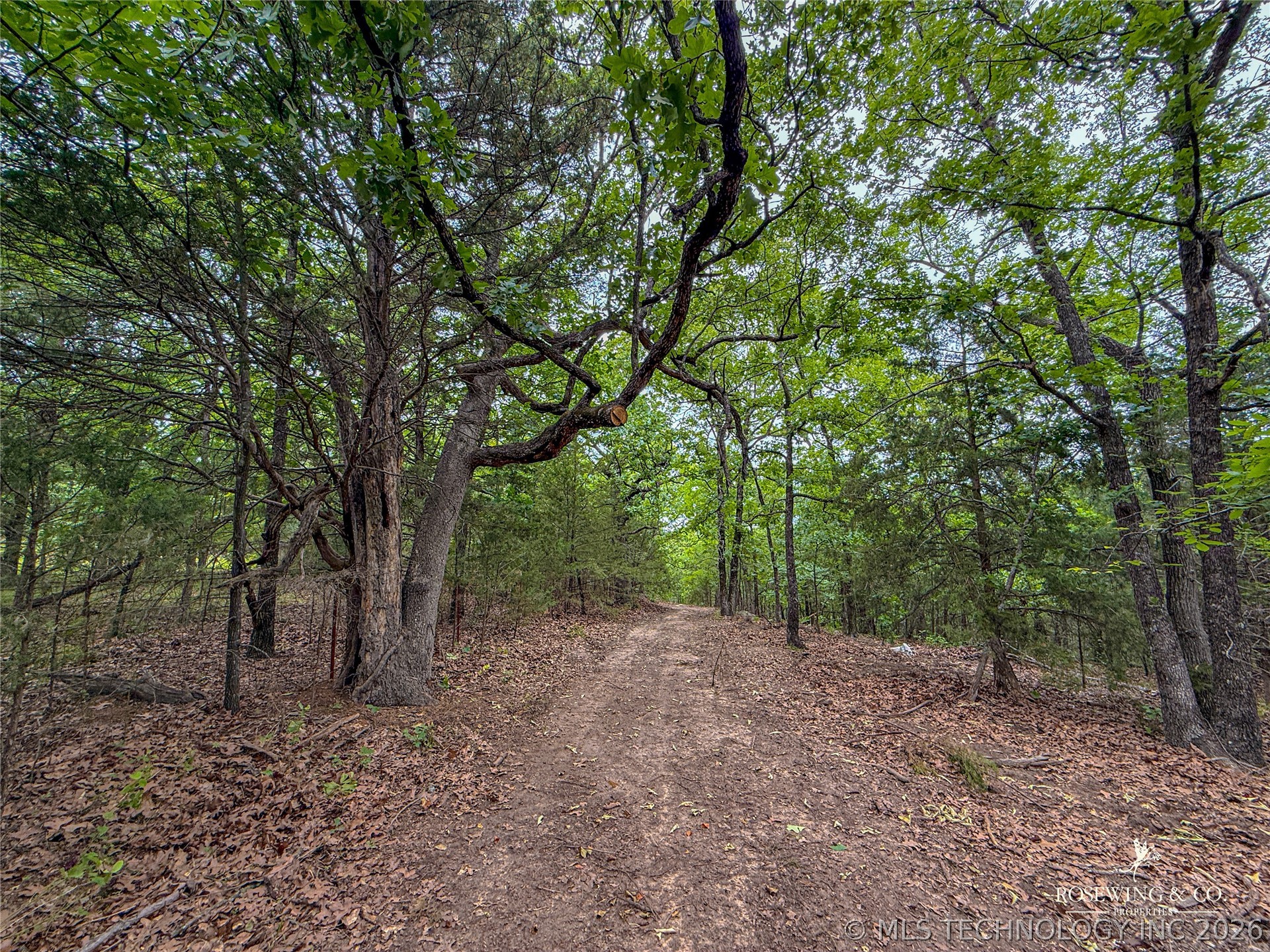 Pine Tree Road Mcalester OK 74501