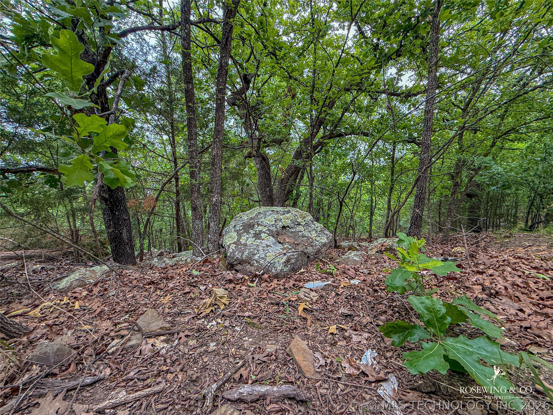 Pine Tree Road Mcalester OK 74501