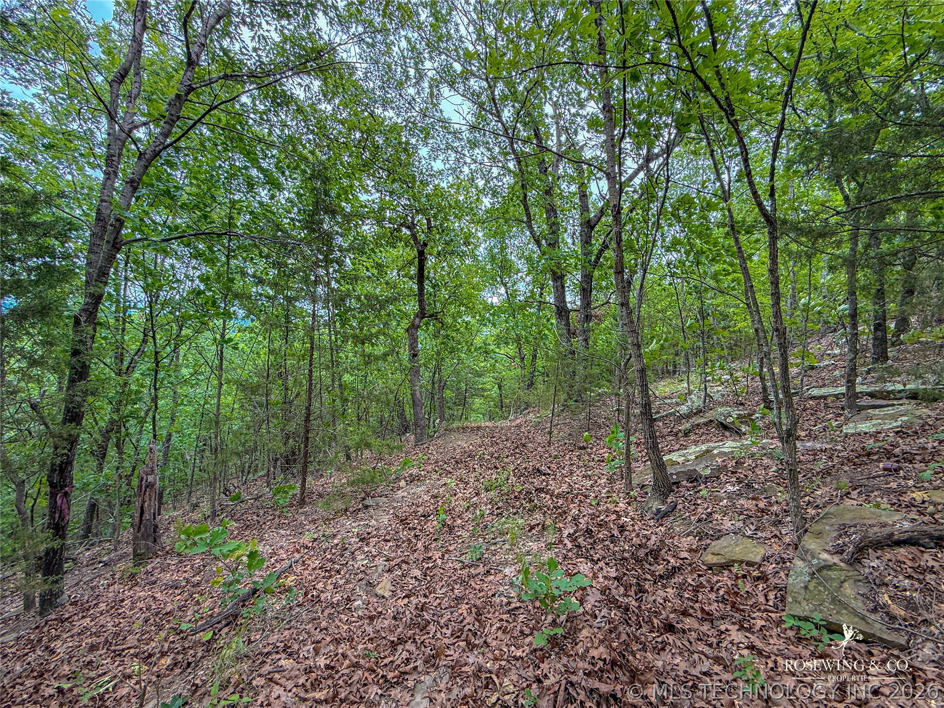 Pine Tree Road Mcalester OK 74501