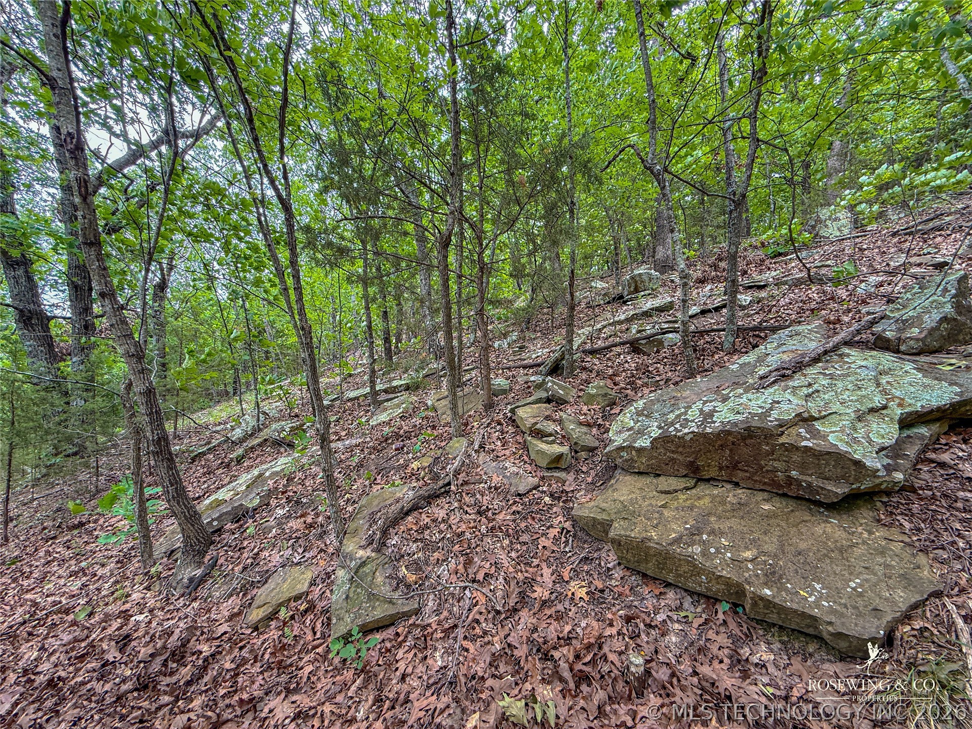 Pine Tree Road Mcalester OK 74501