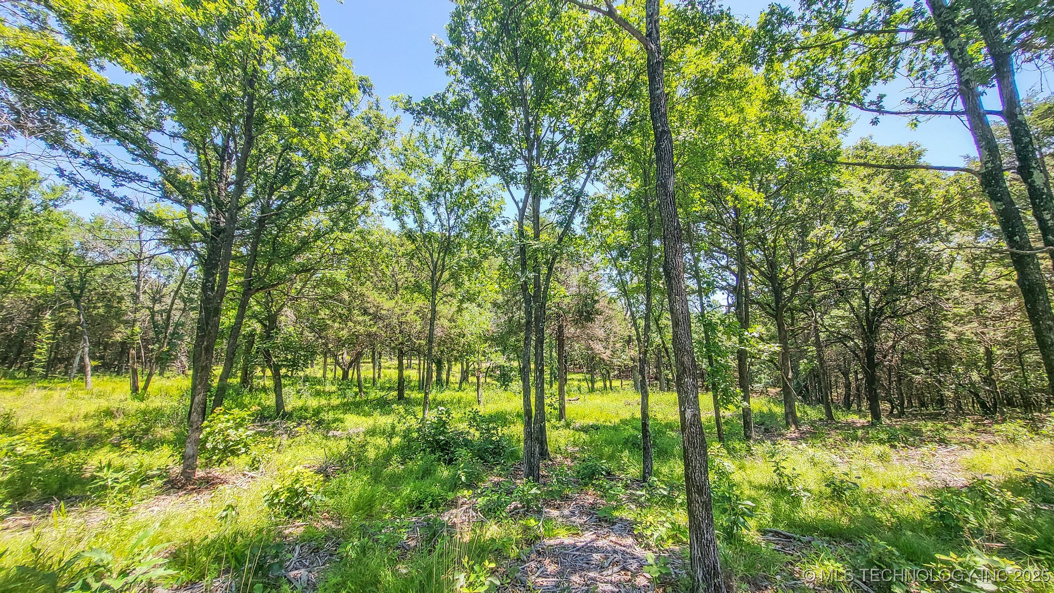139 Patriot Pointe Eufaula OK 74432