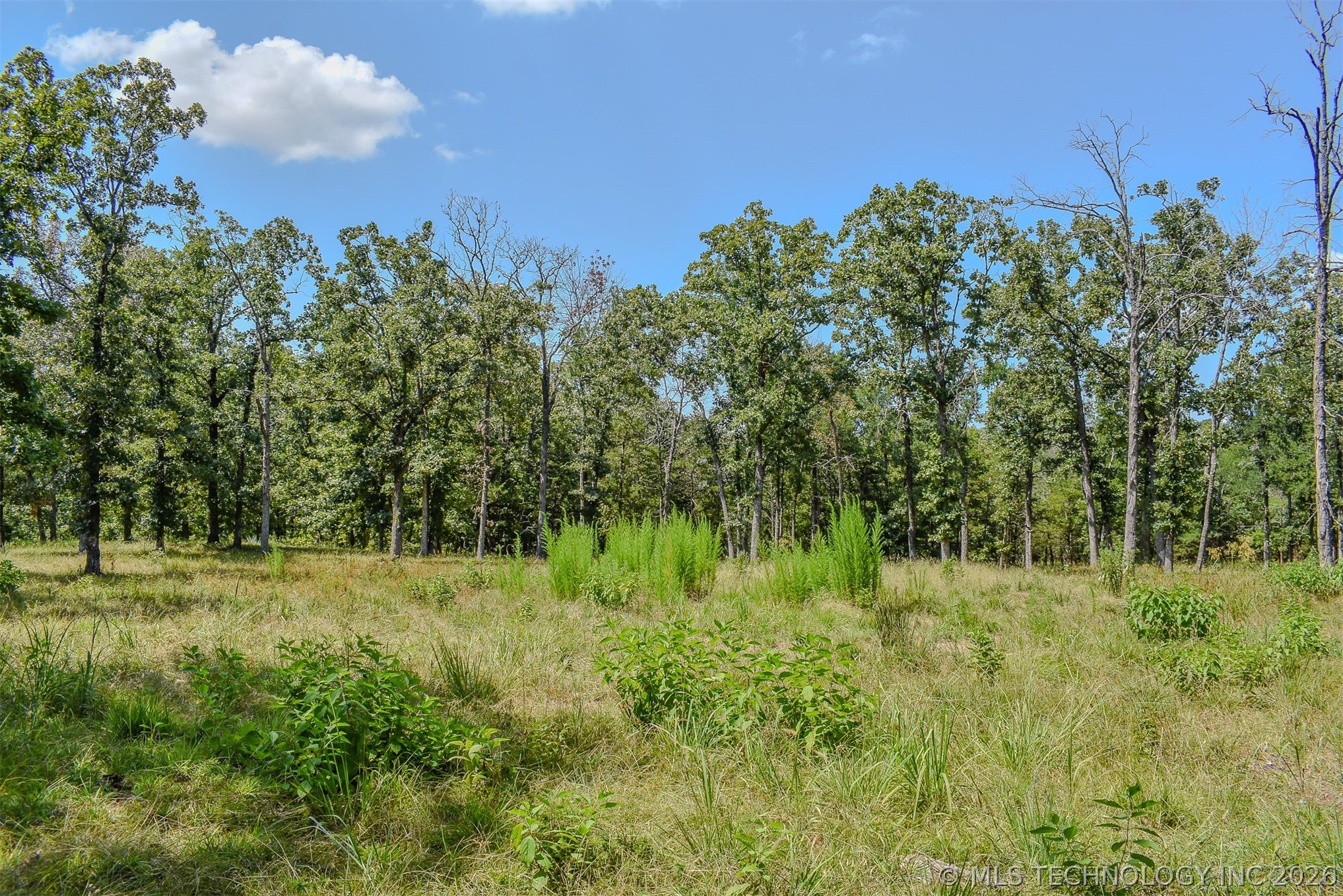0 Lakeside Ridge Sawyer OK 74743