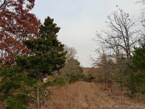 S 4547 Road Vian OK 74962