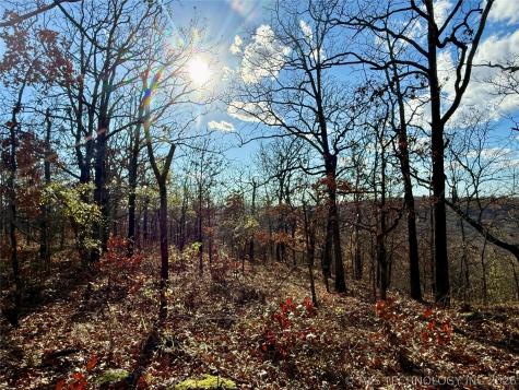 S 4547 Road Vian OK 74962