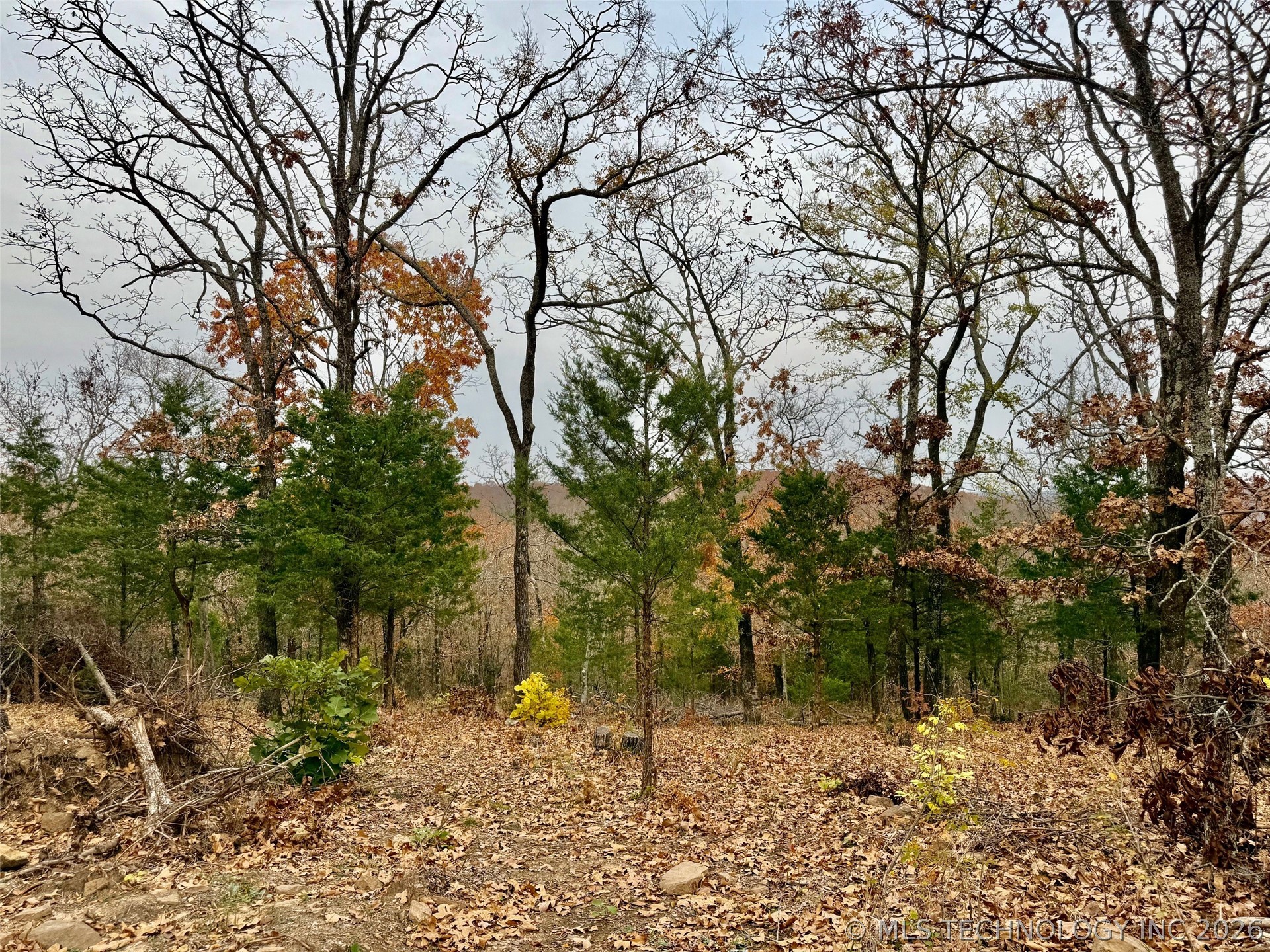 S 4547 Road Vian OK 74962