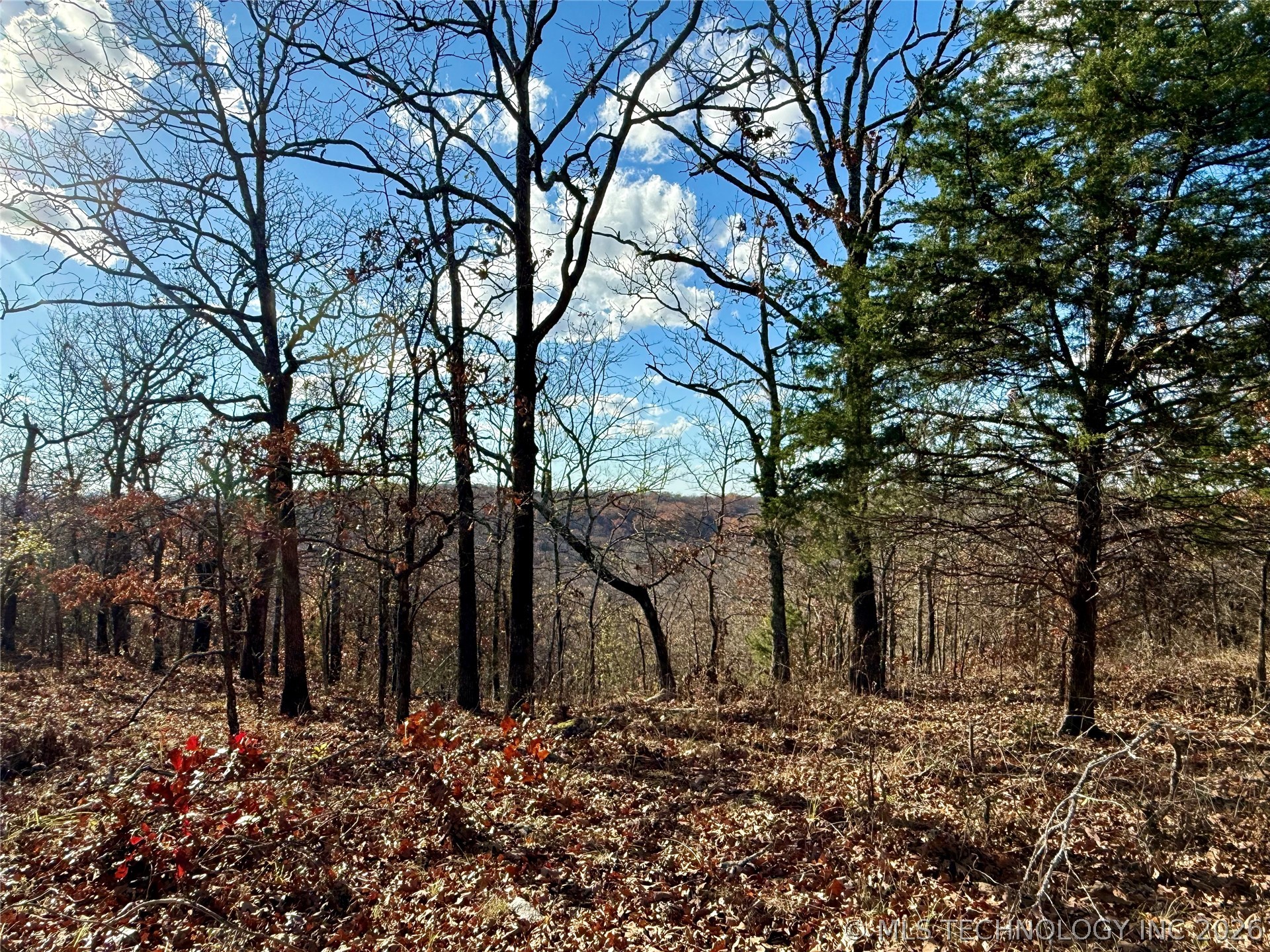 S 4547 Road Vian OK 74962